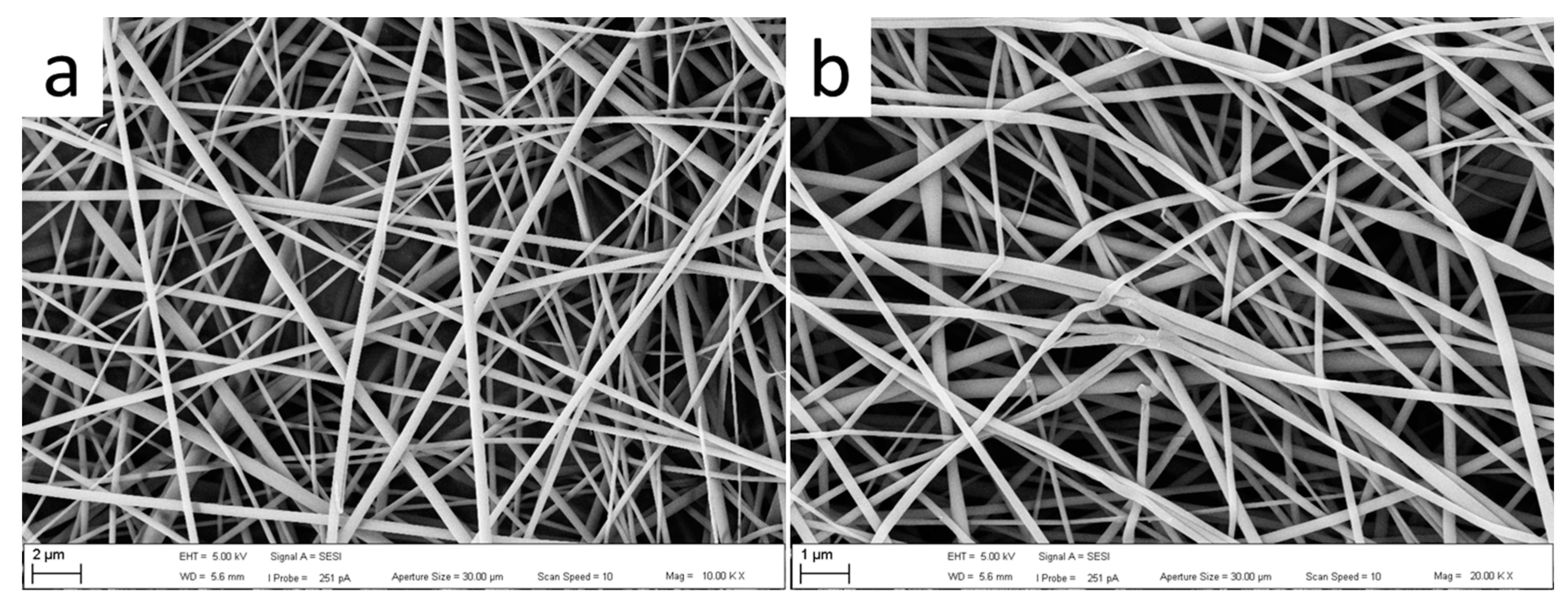 Polymers 15 04201 g007