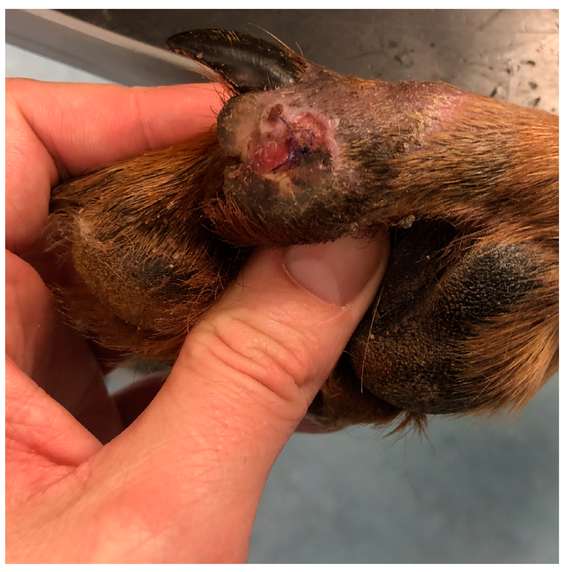 Polymers 15 04201 g014