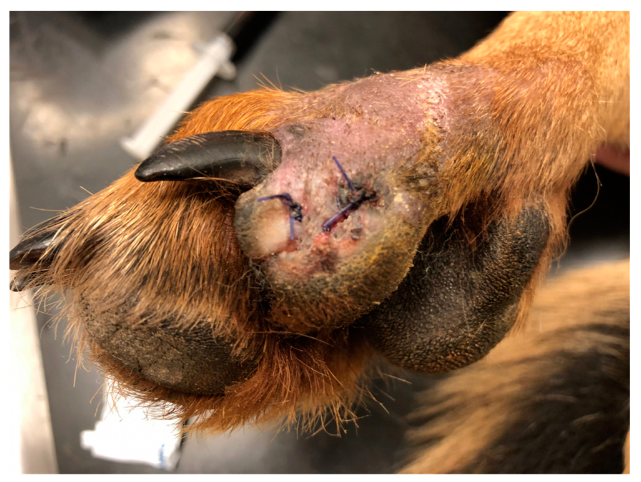 Polymers 15 04201 g015