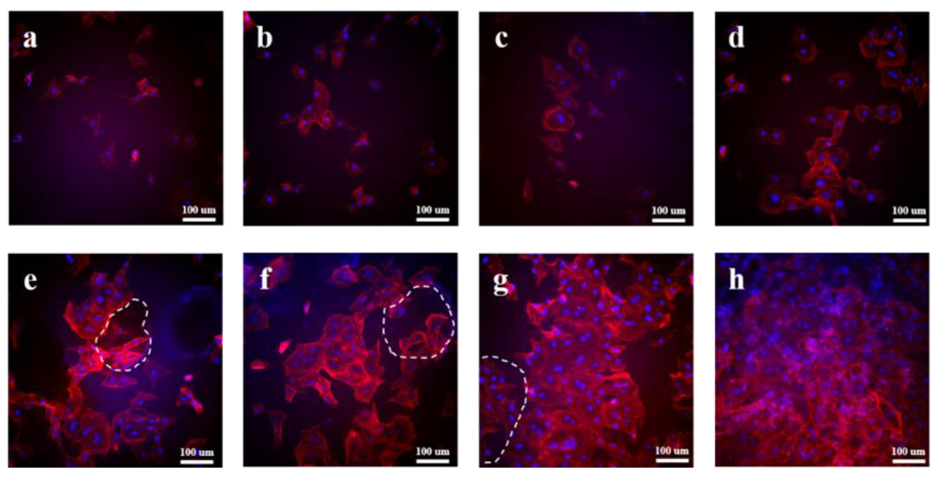 Polymers 15 04205 g007