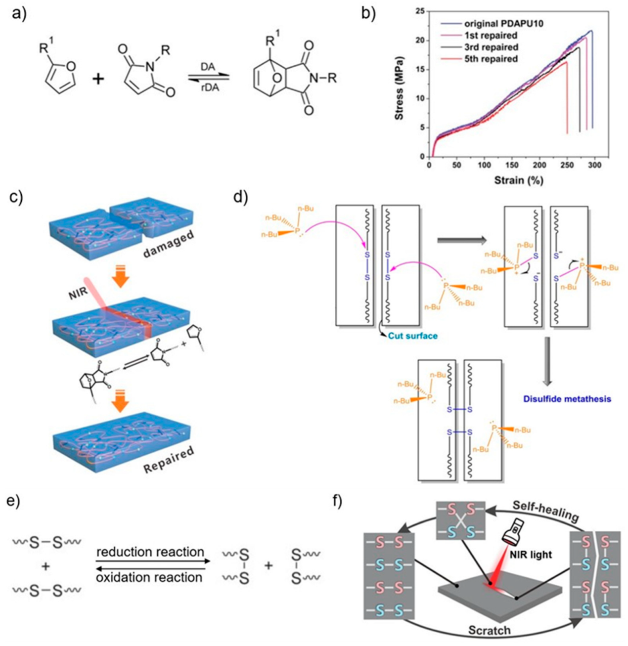 Polymers 15 04206 g002