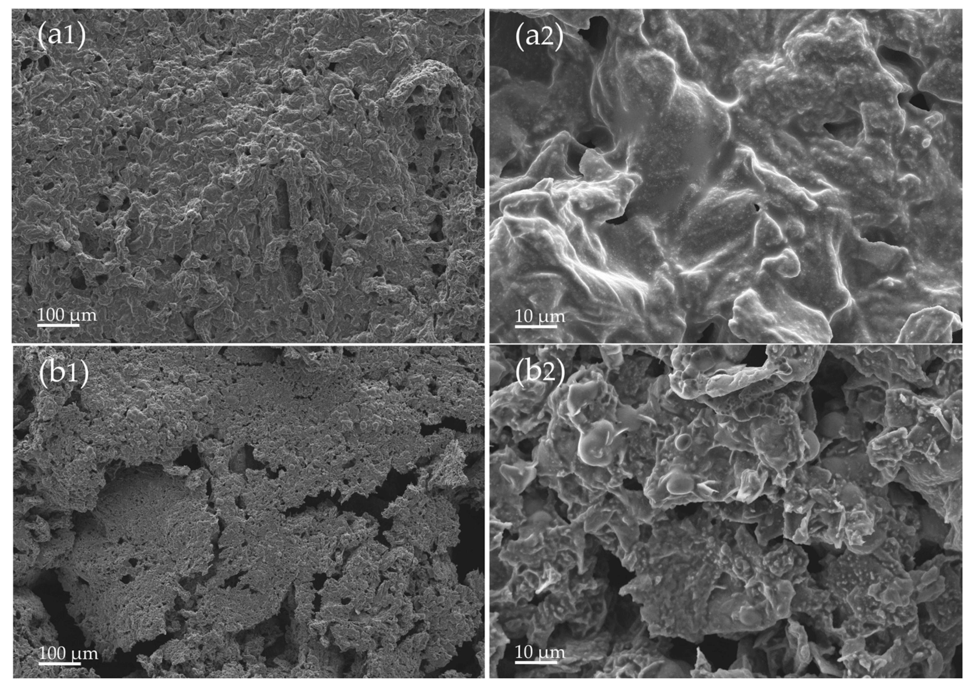 Polymers 15 04211 g006