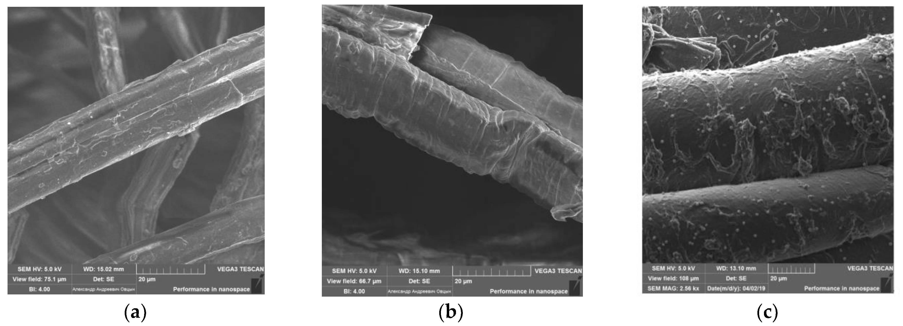 Polymers 15 04212 g005