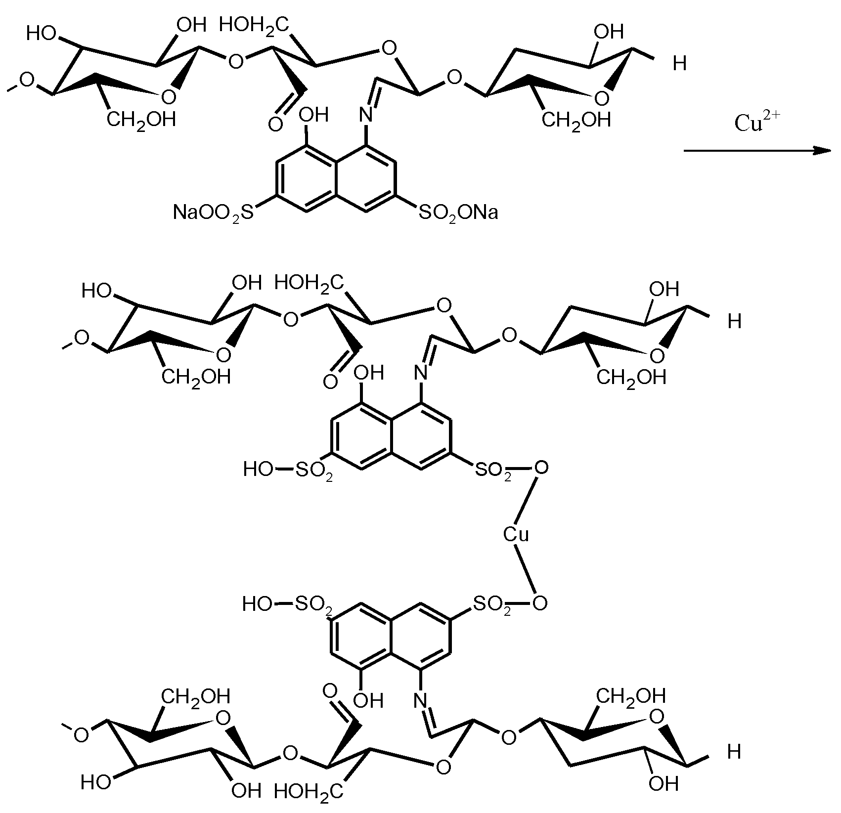 Polymers 15 04212 sch003
