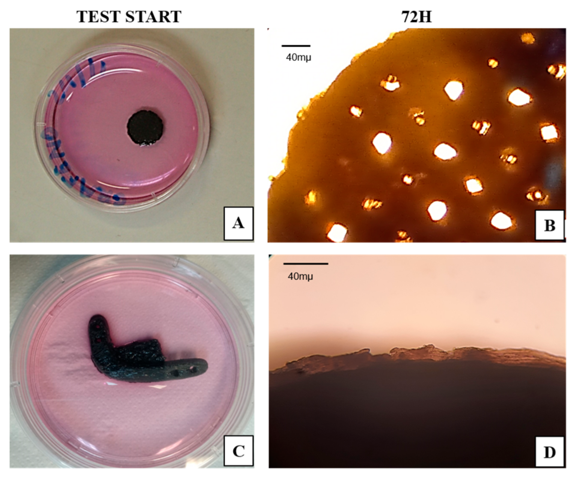 Polymers 15 04213 g008 Polymers 15 04213 g008
