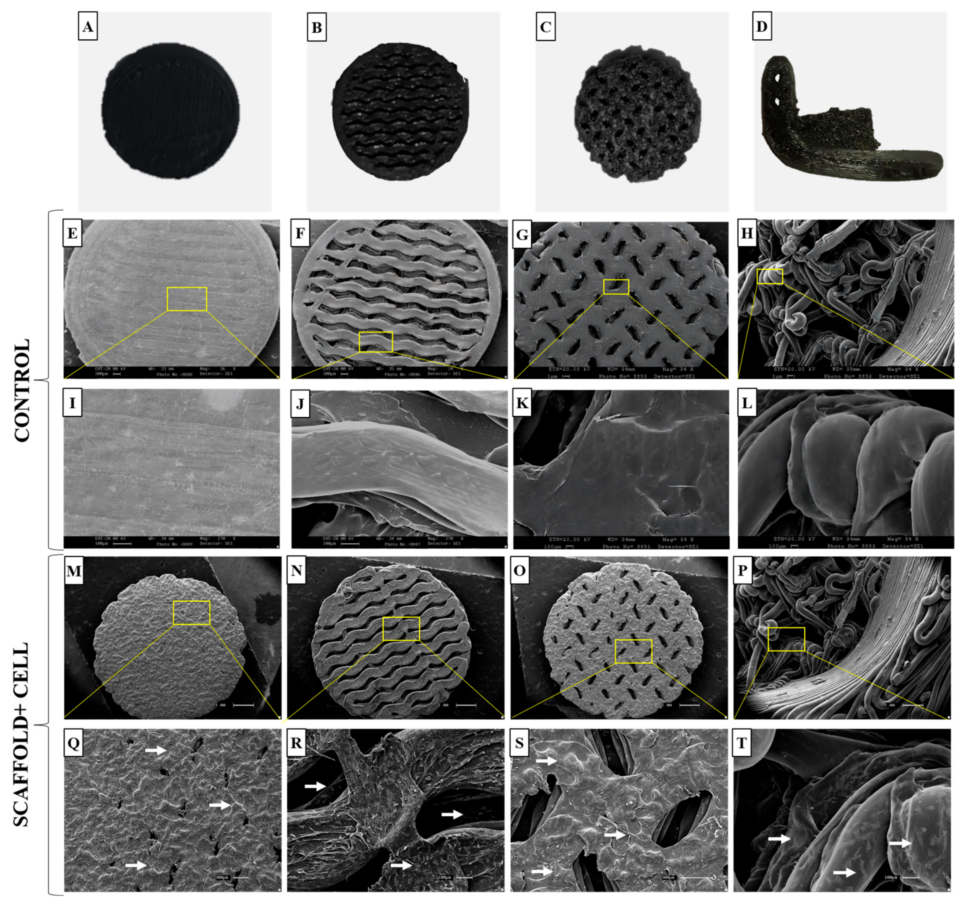 Polymers 15 04213 g009 Polymers 15 04213 g009