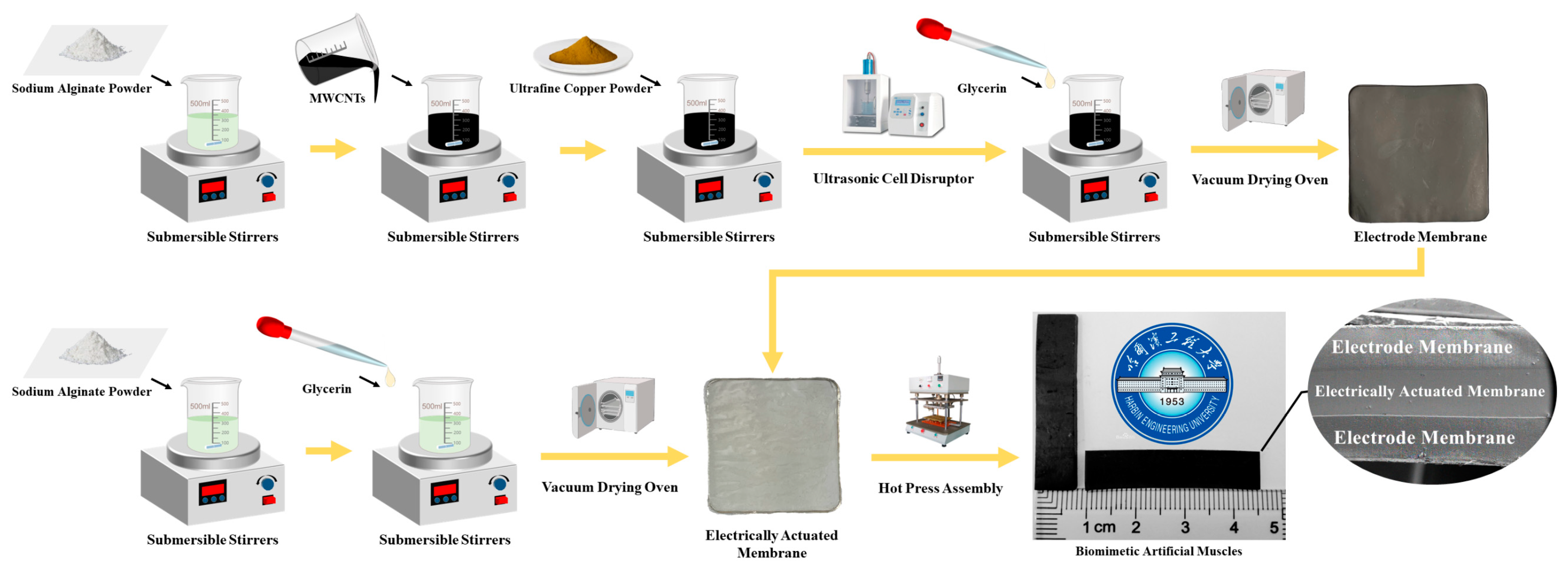 Polymers 15 04214 g001