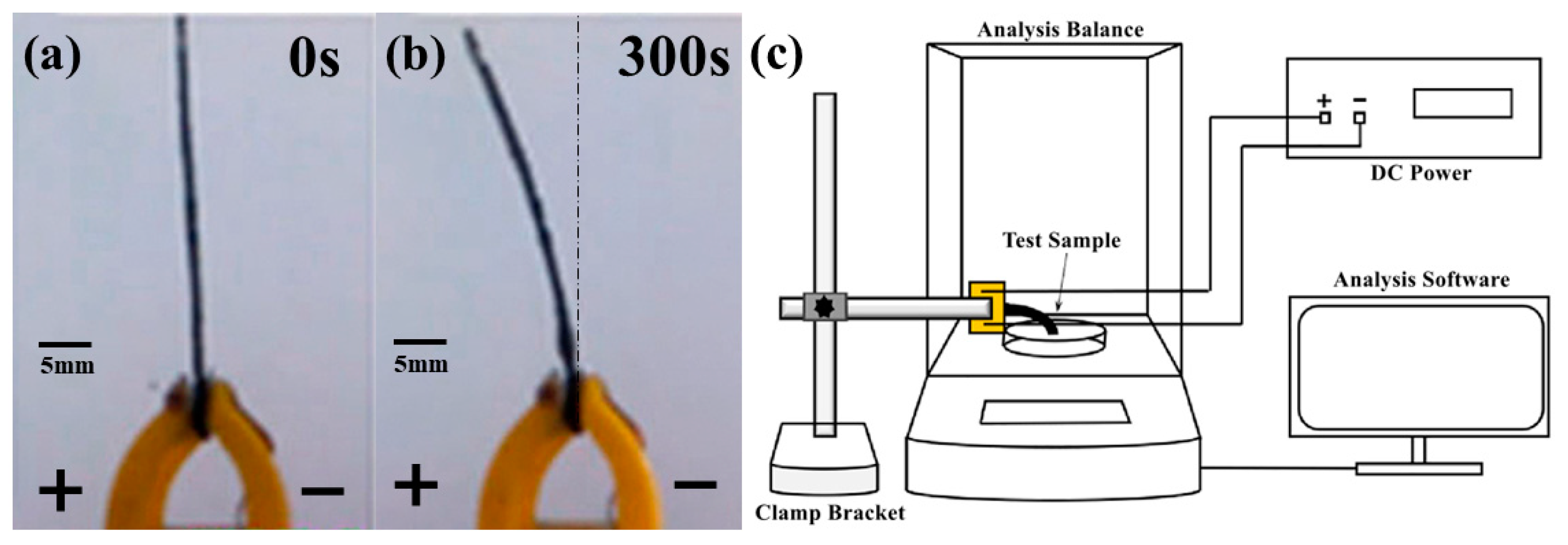 Polymers 15 04214 g002