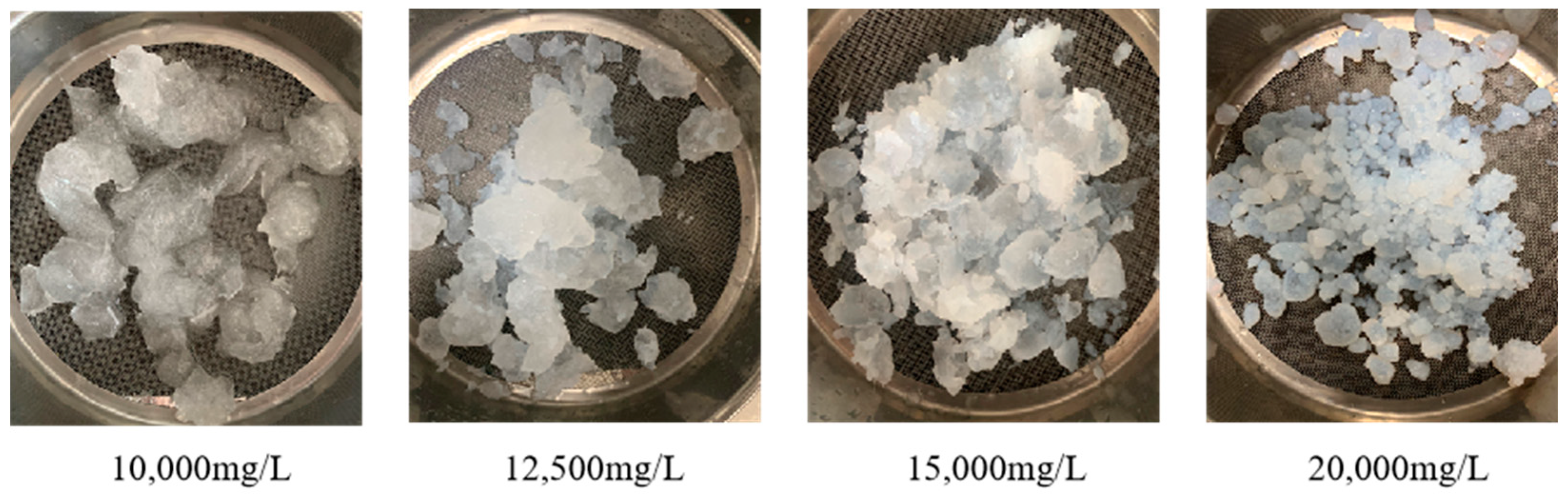Polymers 15 04218 g011