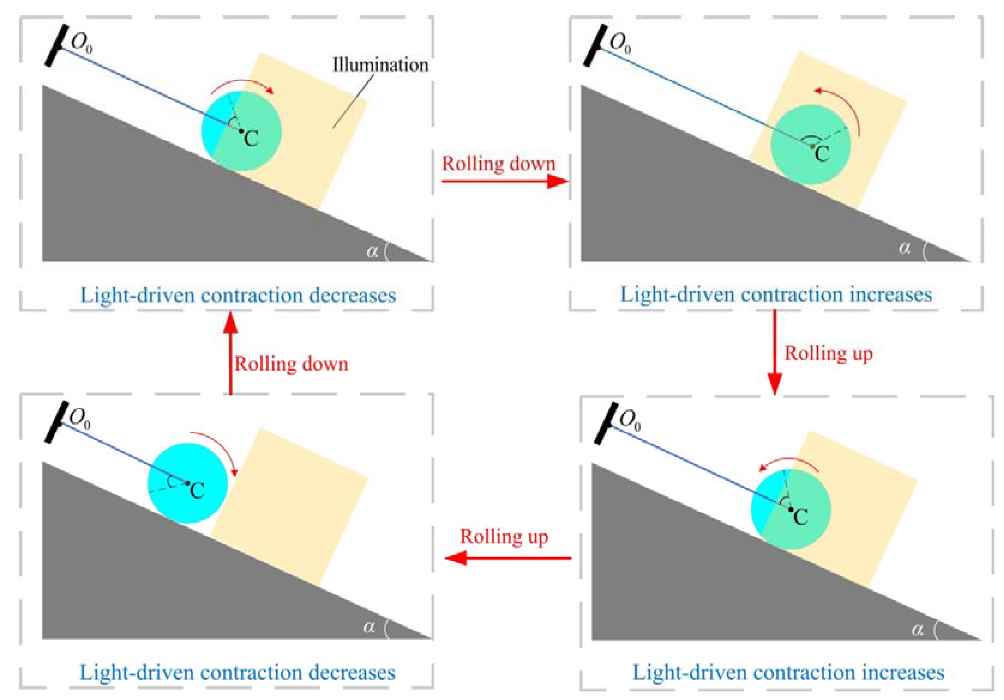 Polymers 15 04221 g006