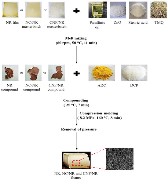 Structure–Property Correlation in Natural Rubber