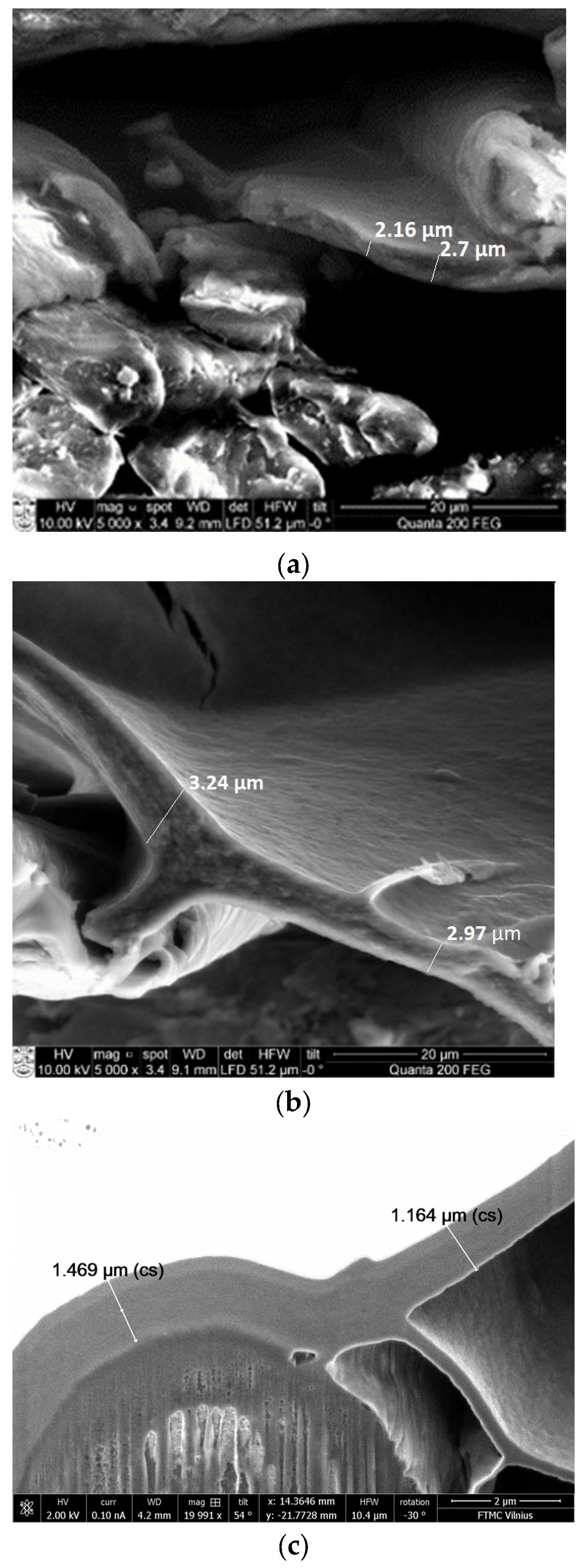 Polymers 15 04224 g008