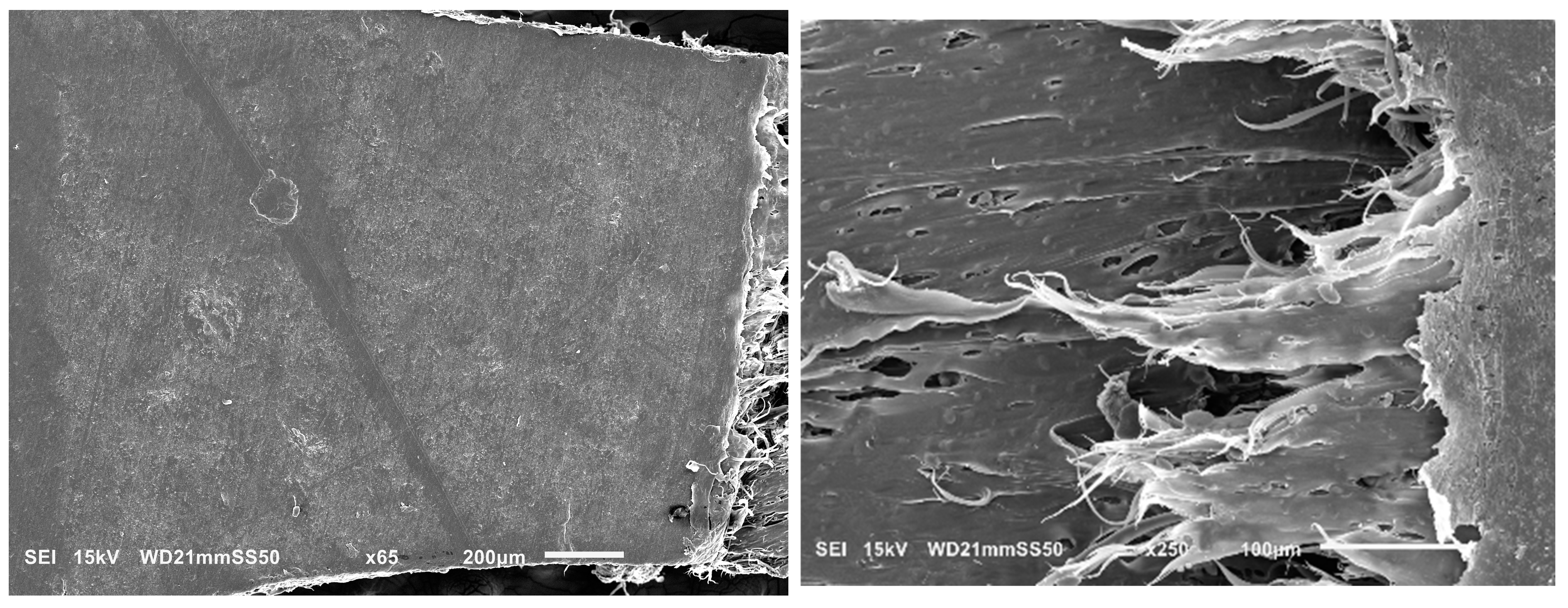 Polymers 15 04234 g004