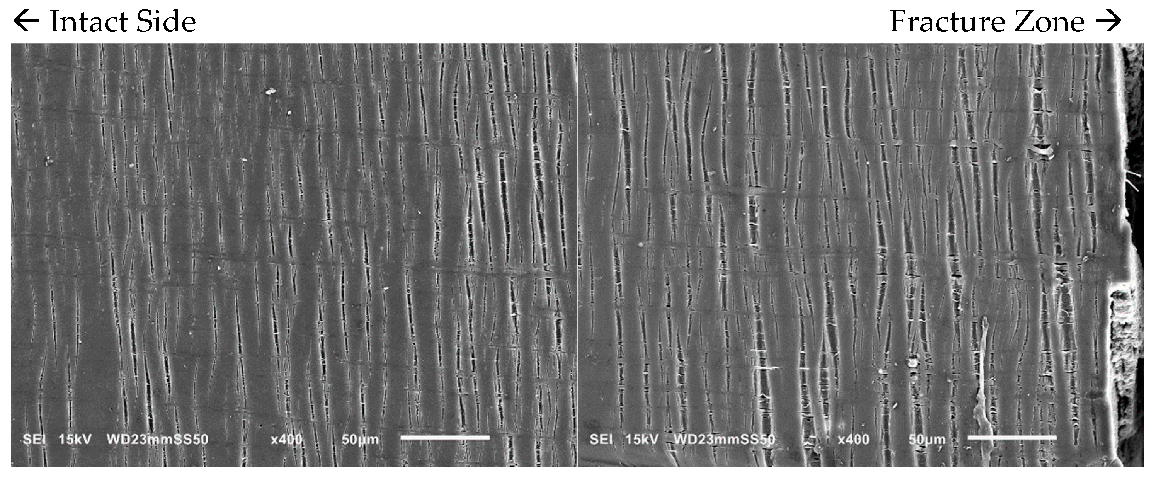 Polymers 15 04234 g005