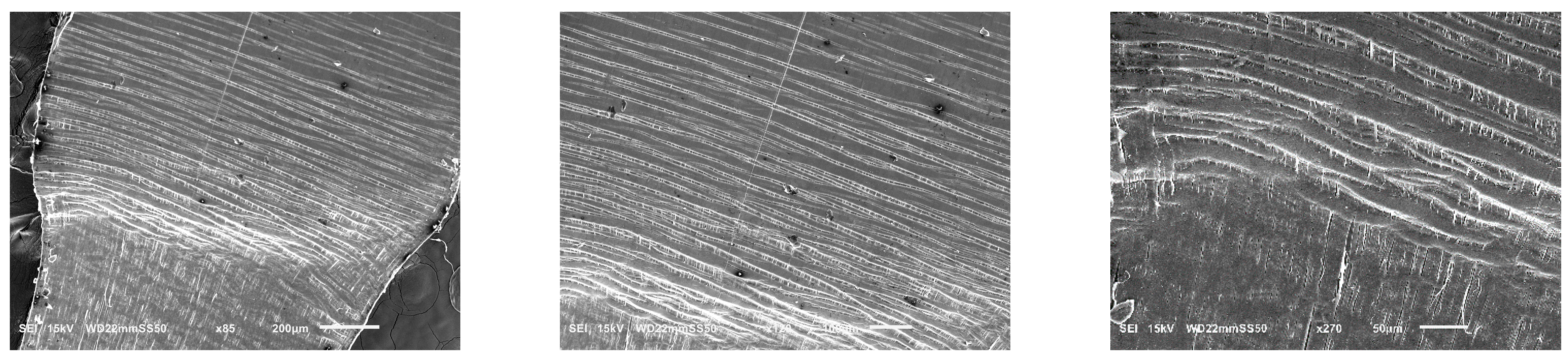 Polymers 15 04234 g008