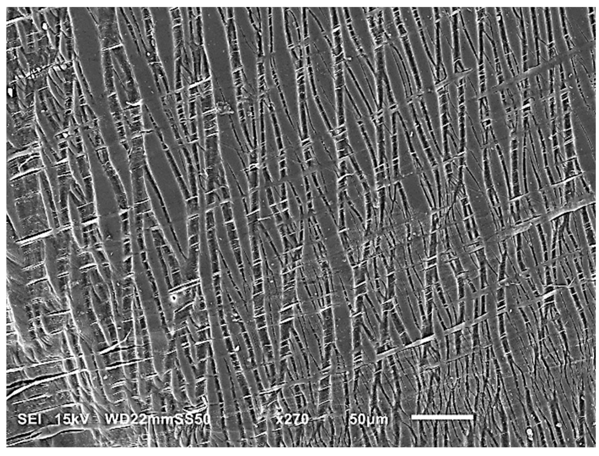 Polymers 15 04234 g009