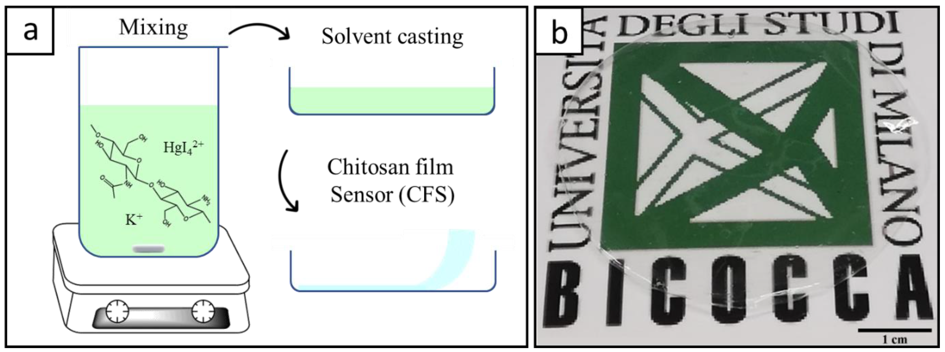 Polymers 15 04238 g002