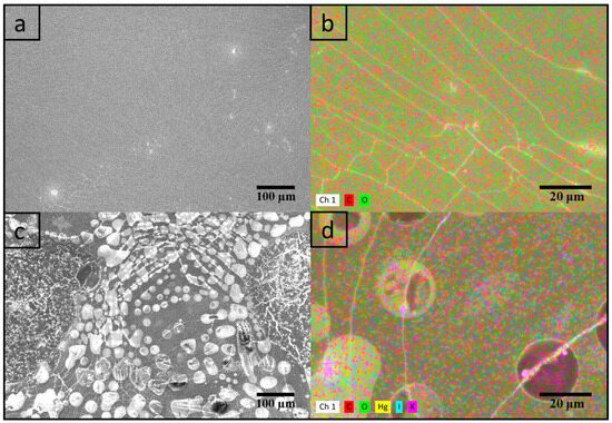 Chitosan Film Sensor for Ammonia Detection in Microdiffusion Analytical ...