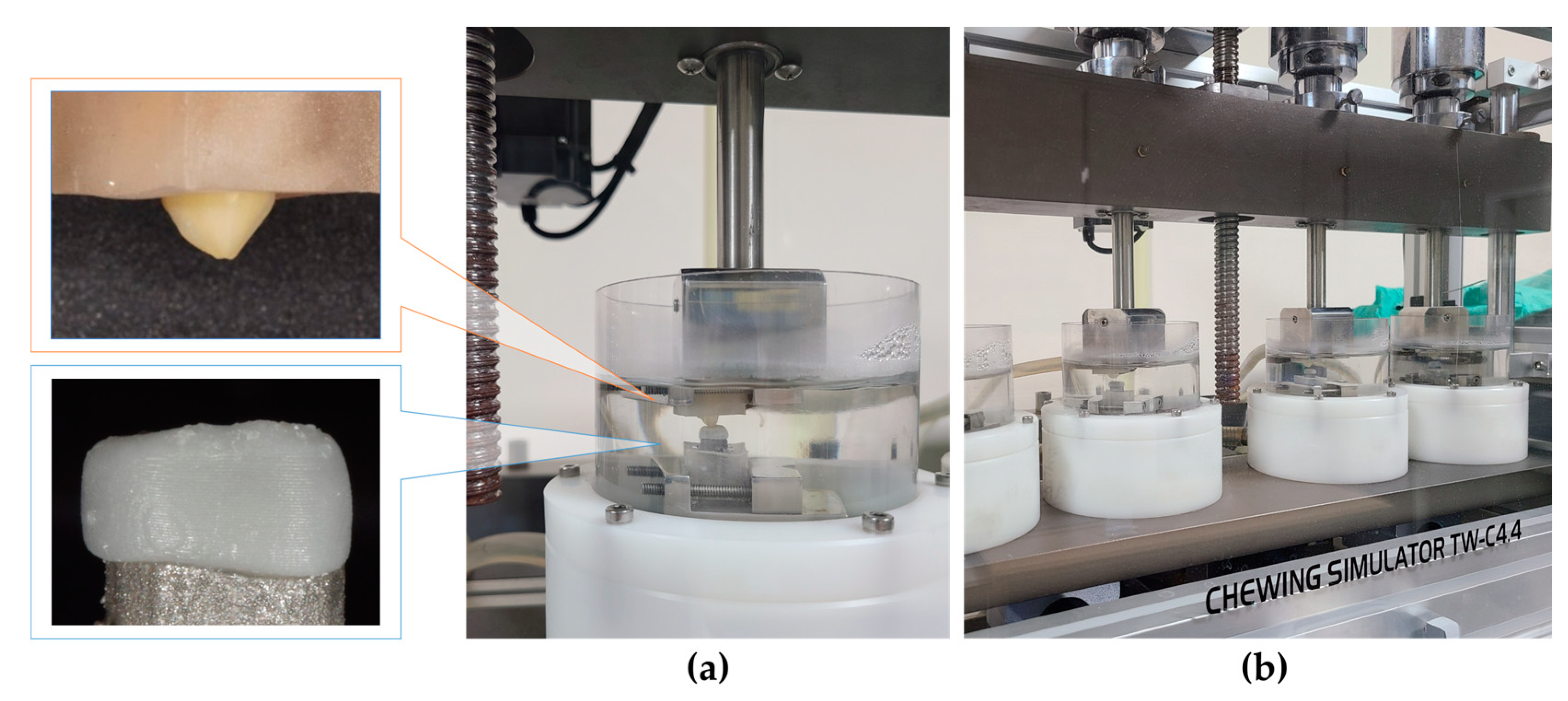 Polymers 15 04241 g003
