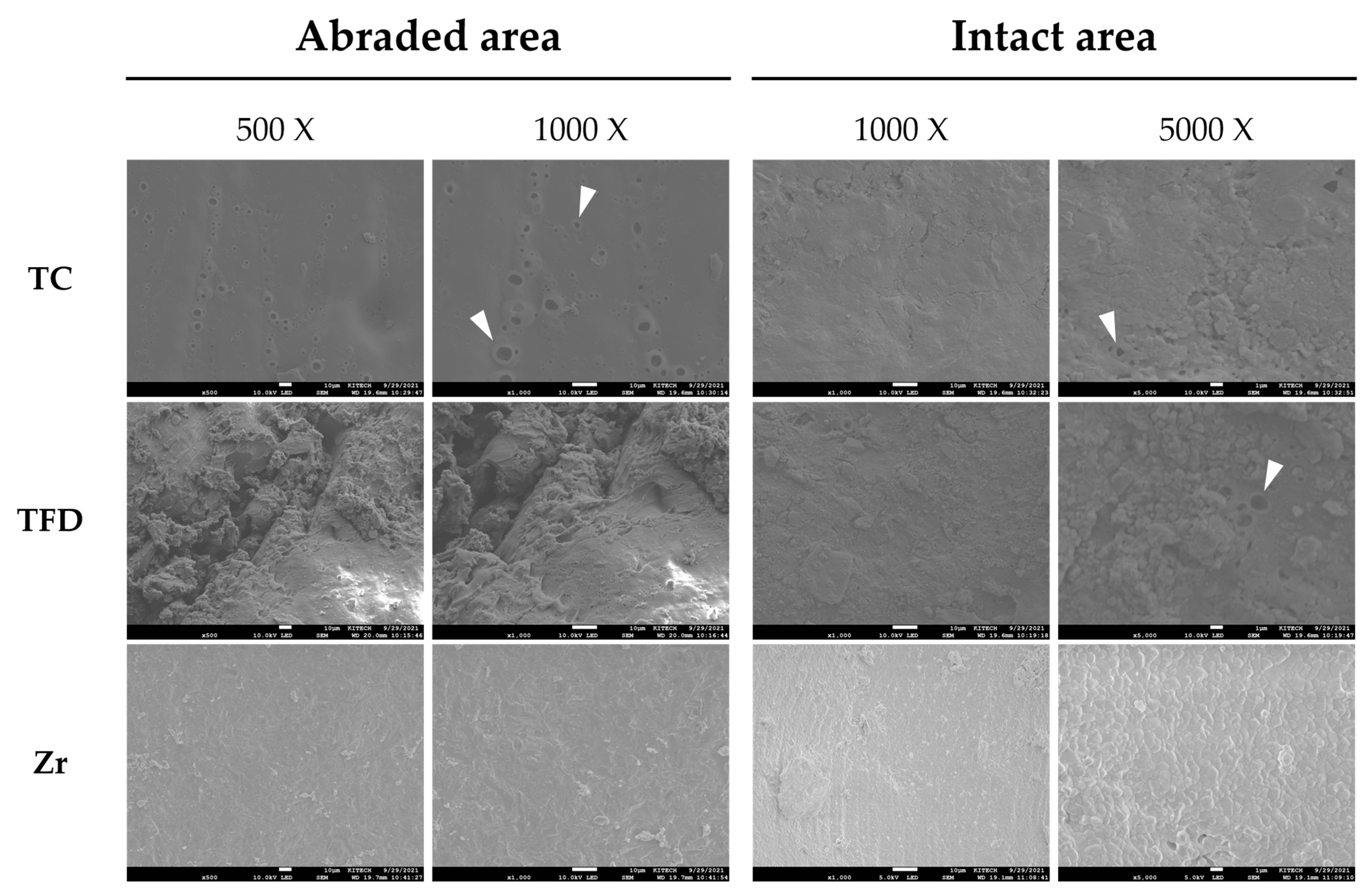 Polymers 15 04241 g005