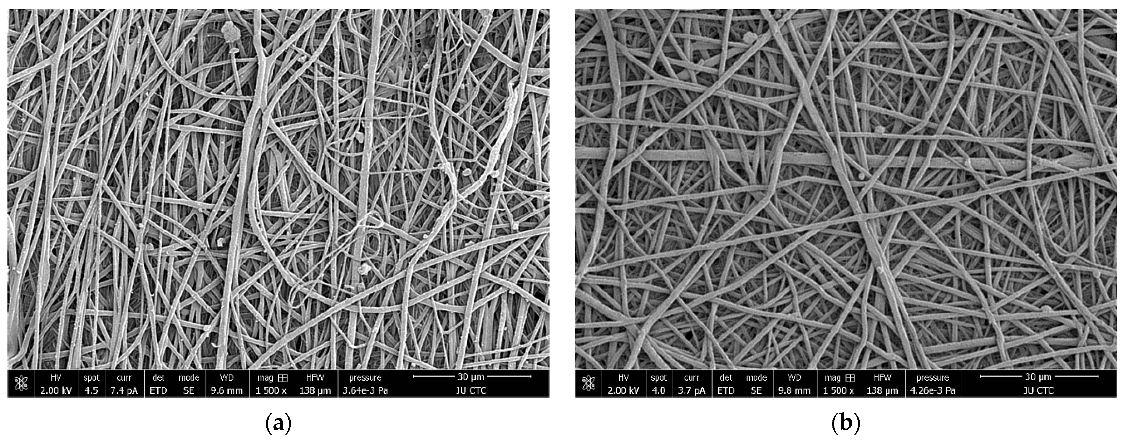 Polymers 15 04244 g008