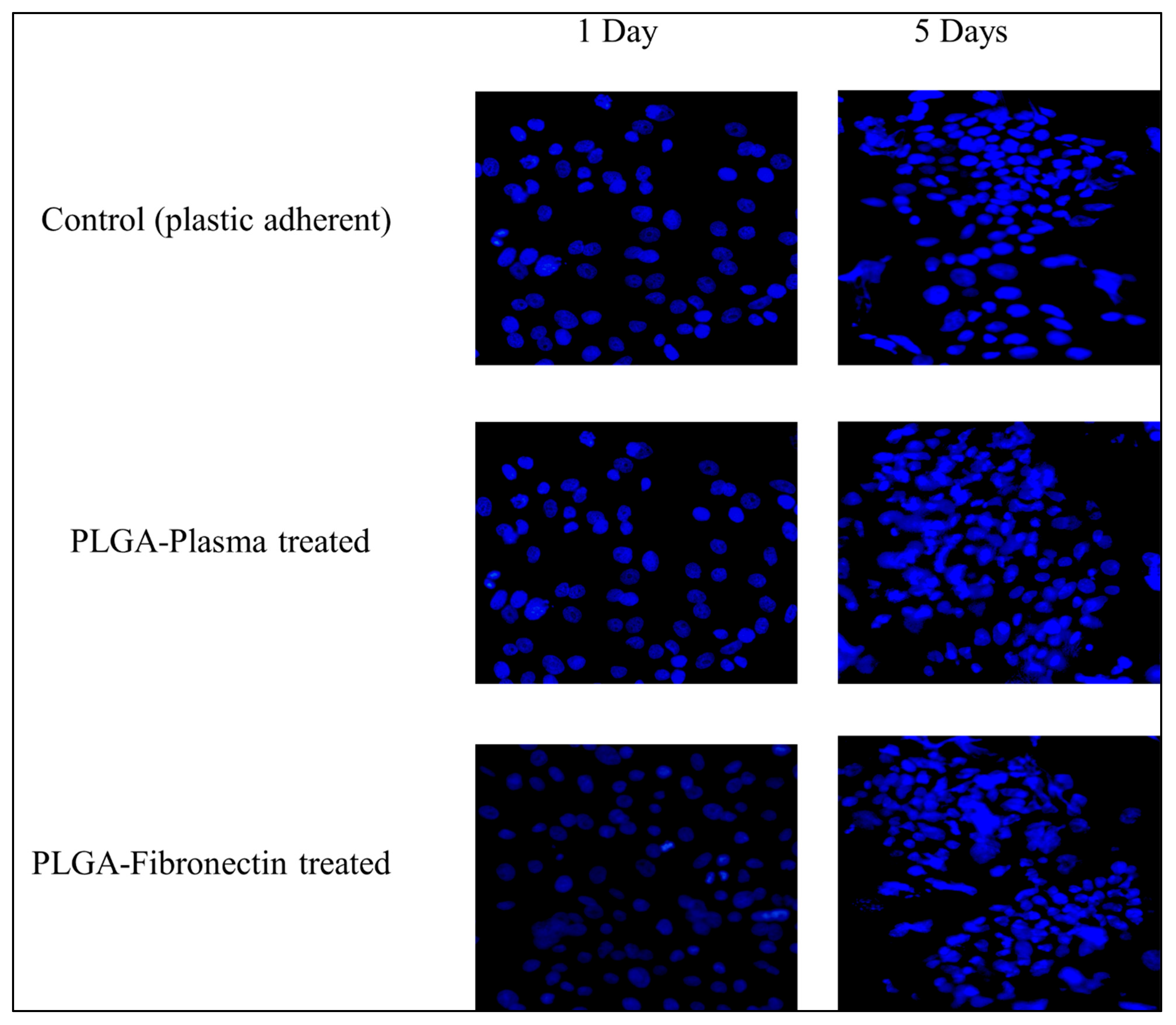 Polymers 15 04244 g009