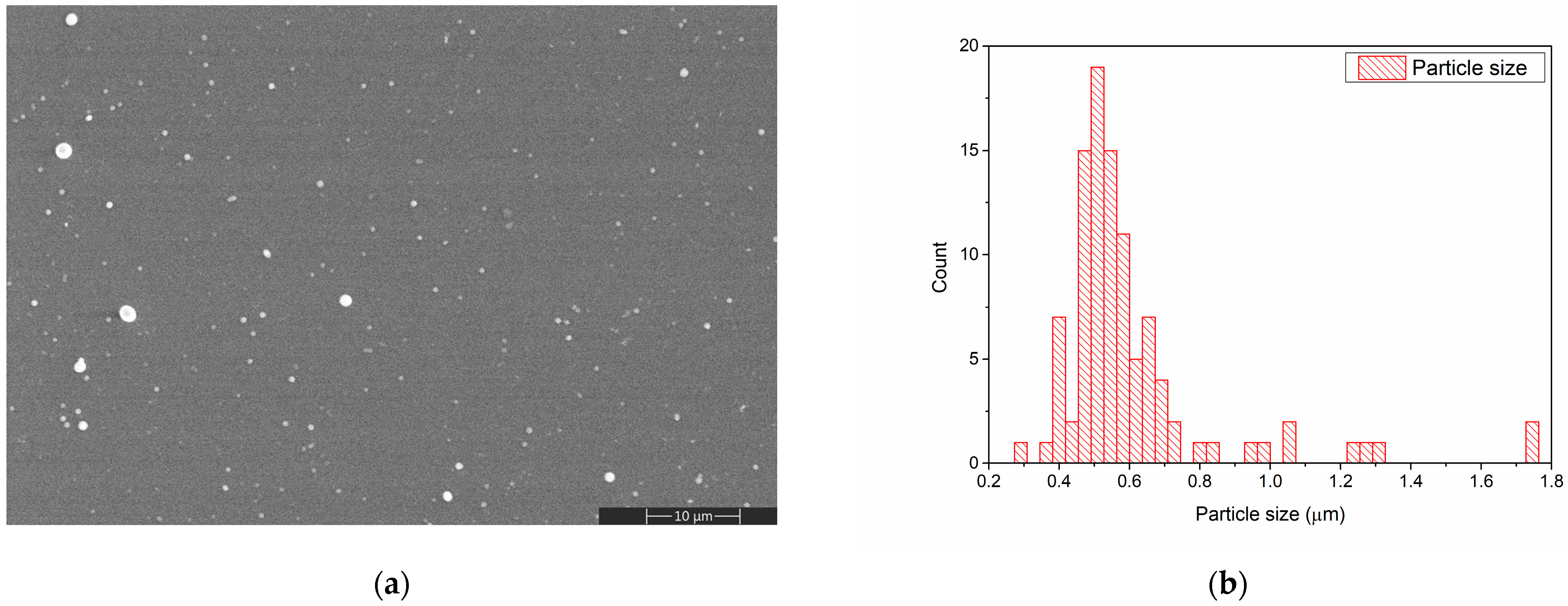 Polymers 15 04245 g003