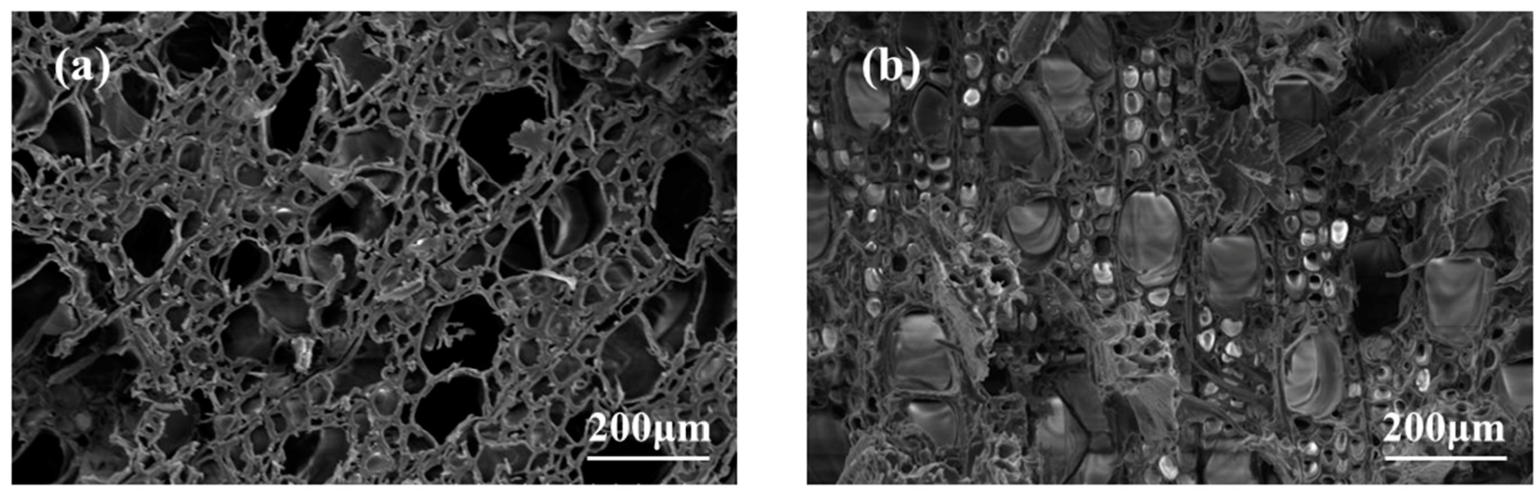 Polymers 15 04247 g003