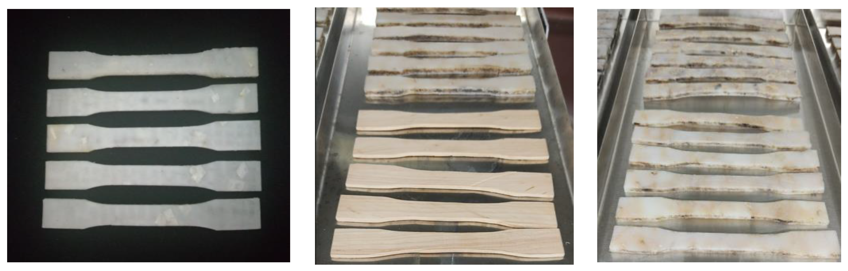 Polymers 15 04249 g001