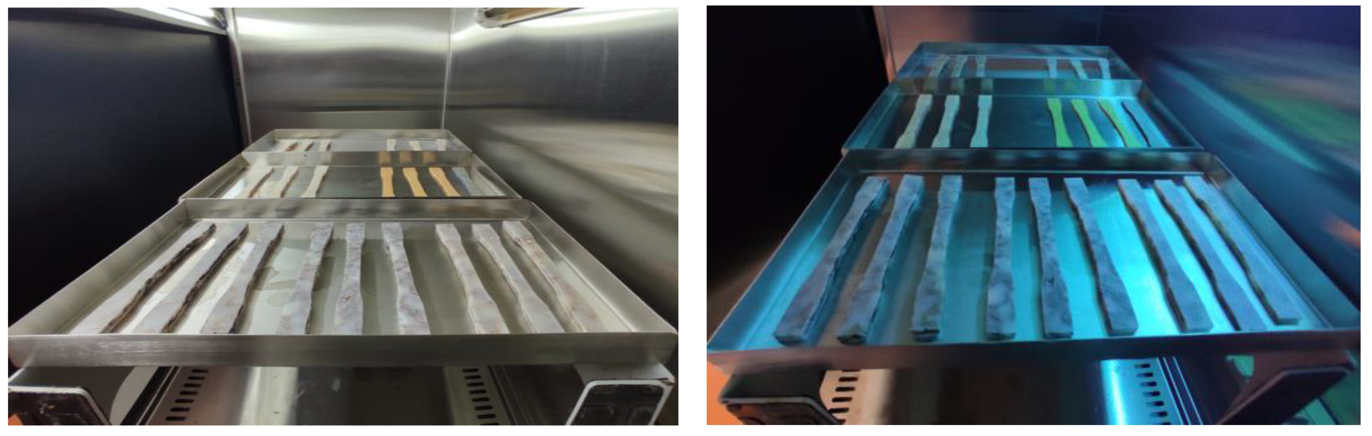 Polymers 15 04249 g002