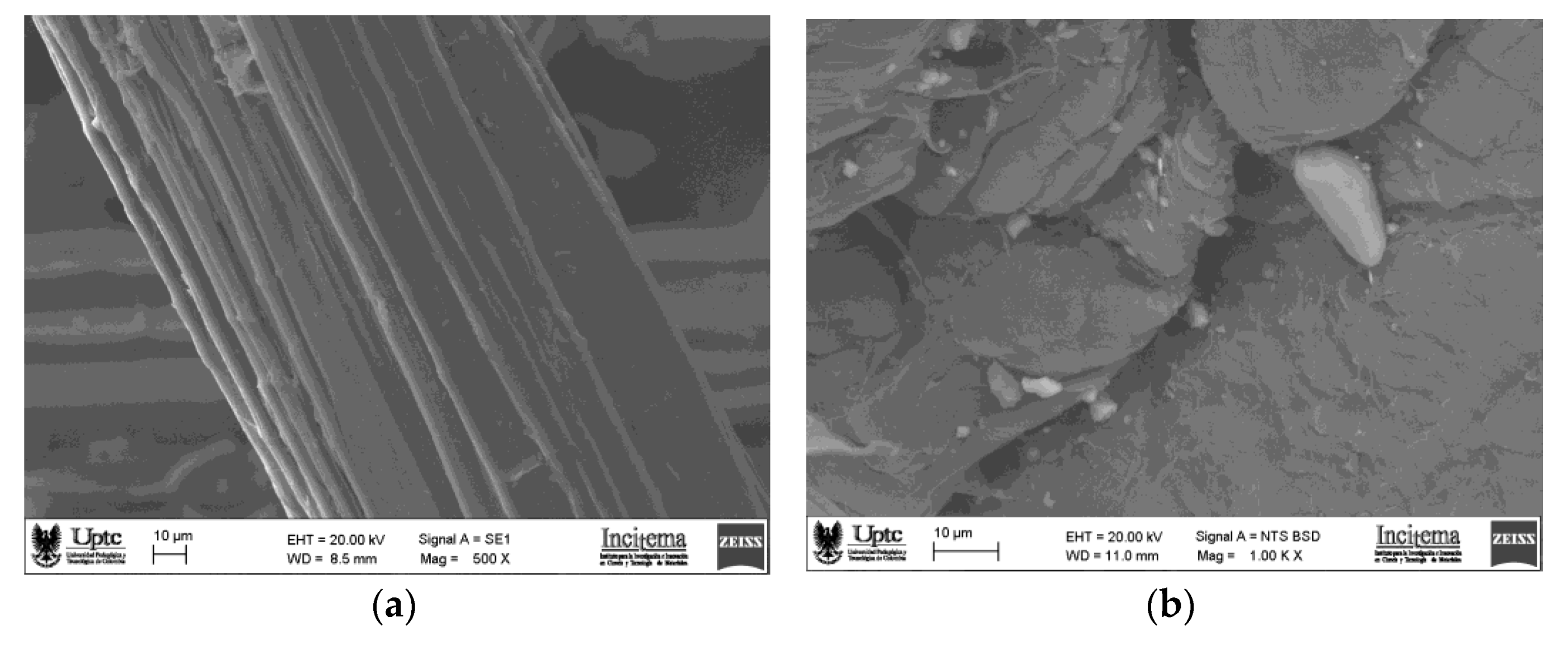 Polymers 15 04249 g006a
