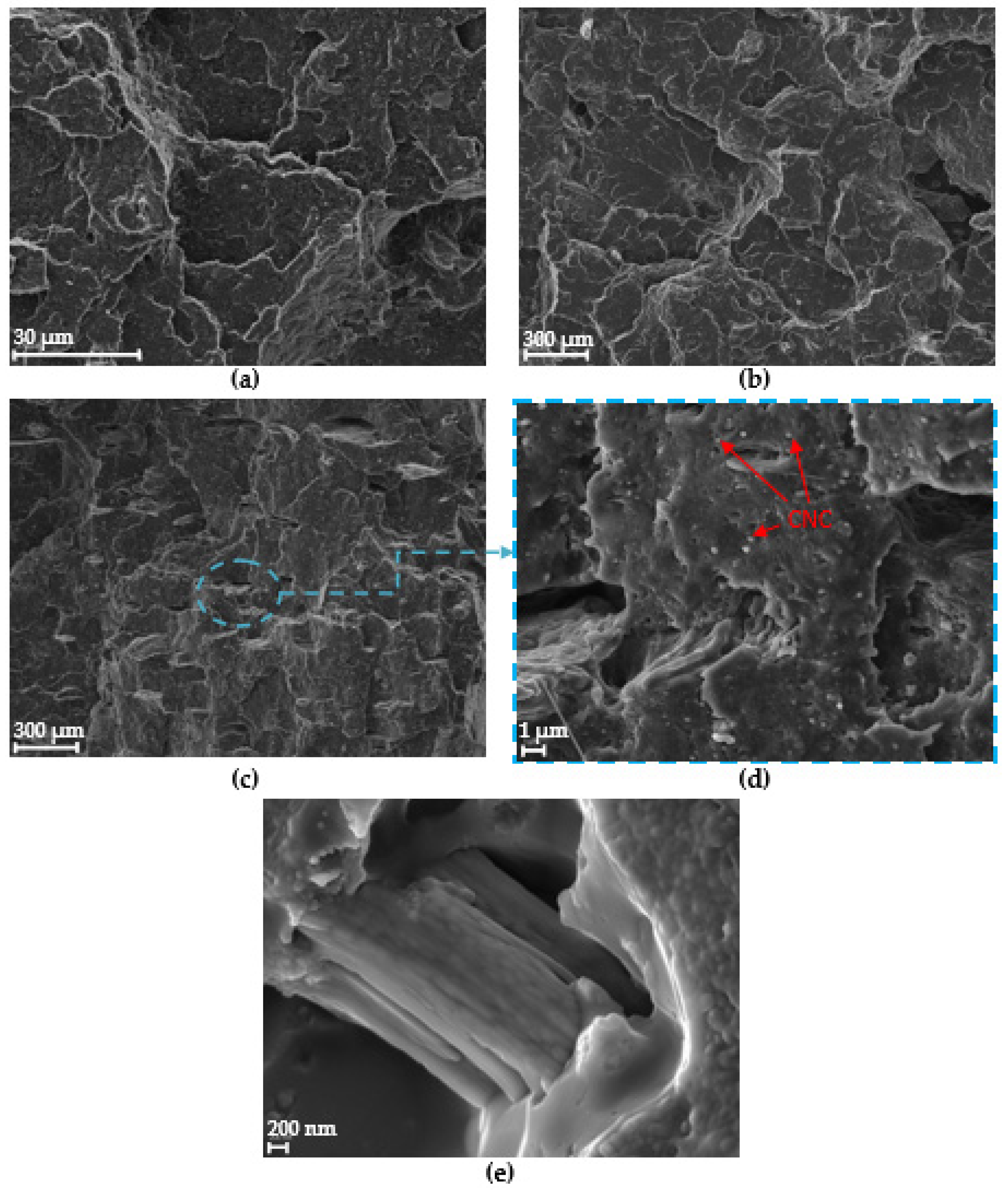 Polymers 15 04251 g008