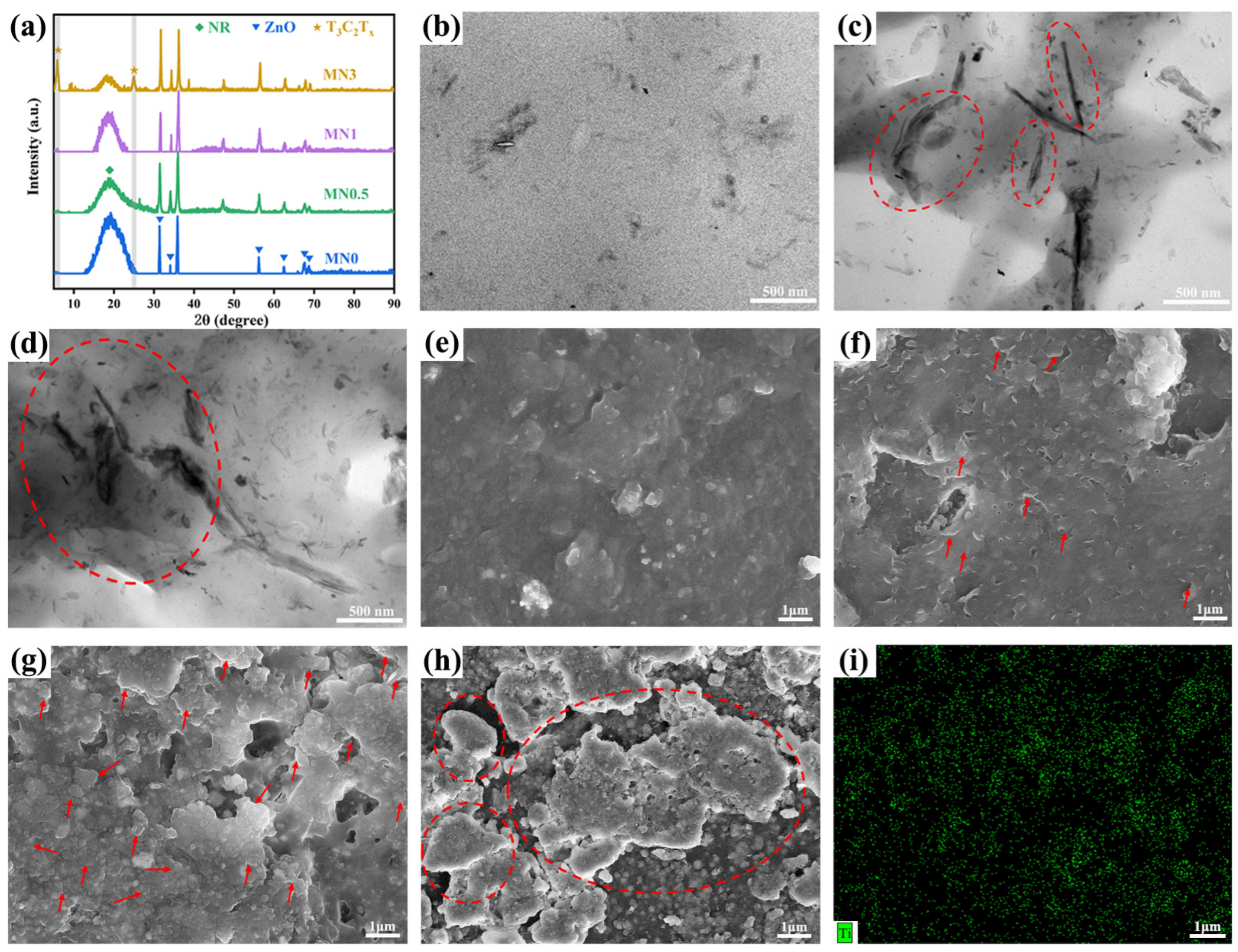 Polymers 15 04260 g003