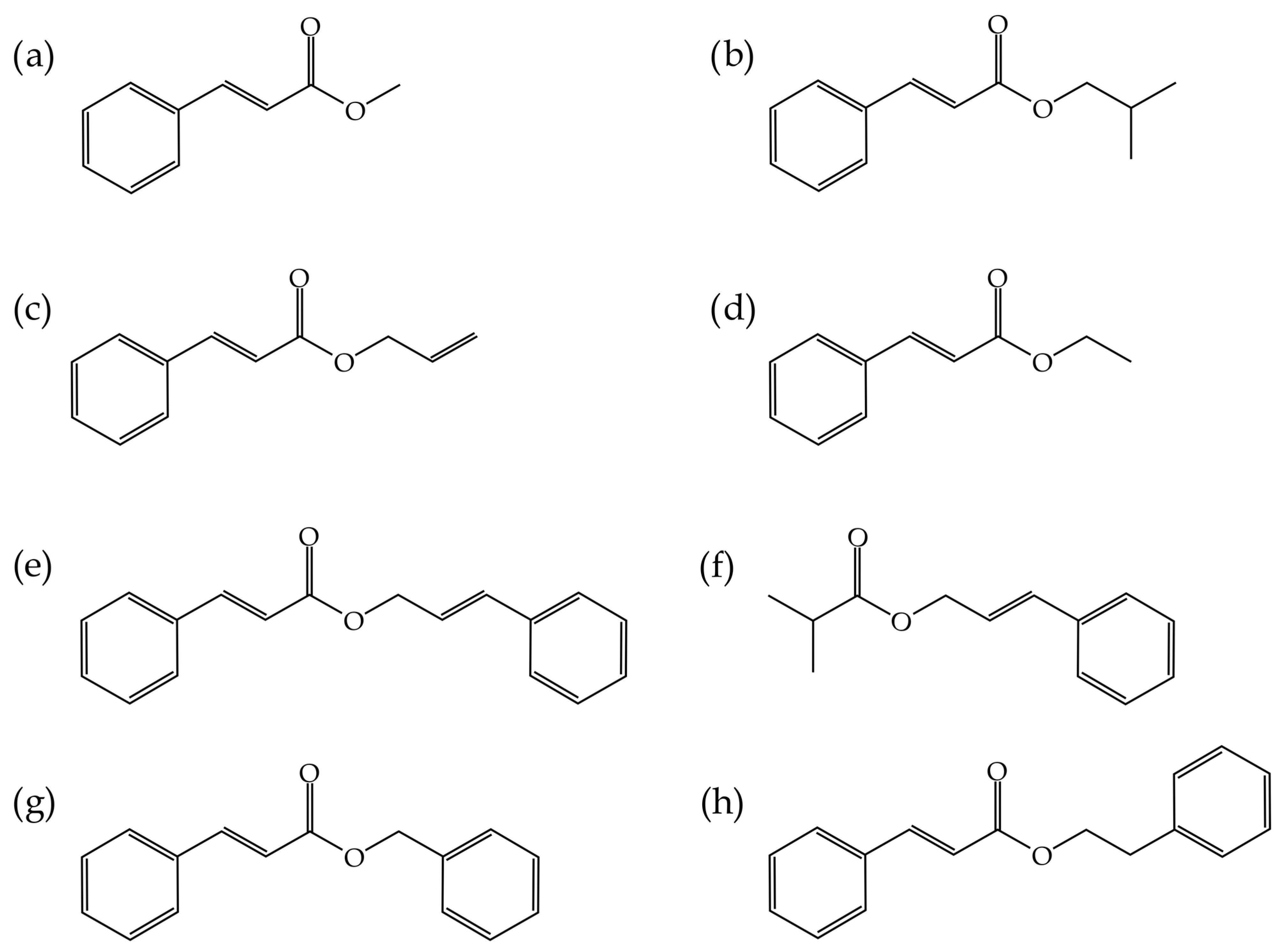 Polymers 15 04265 g001