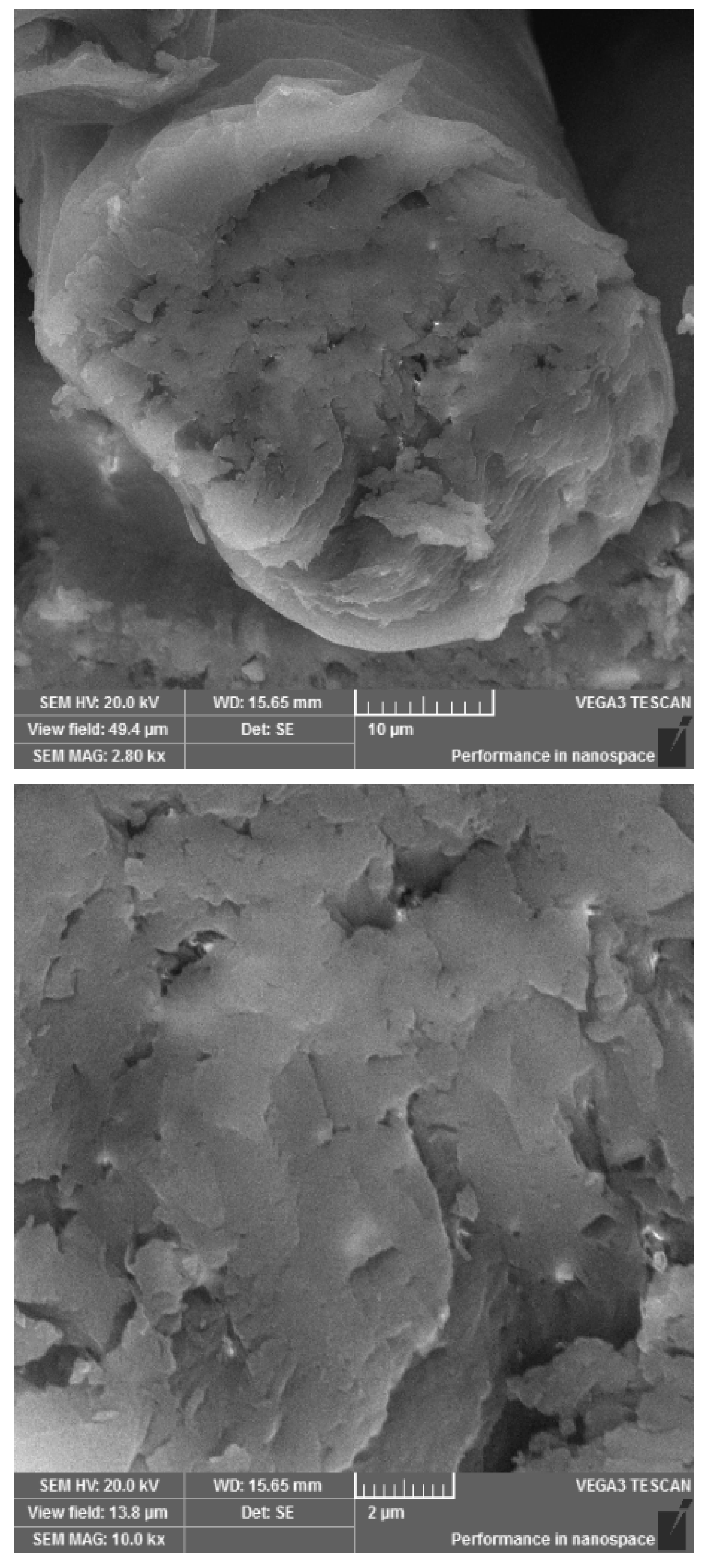 Polymers 15 04267 g001