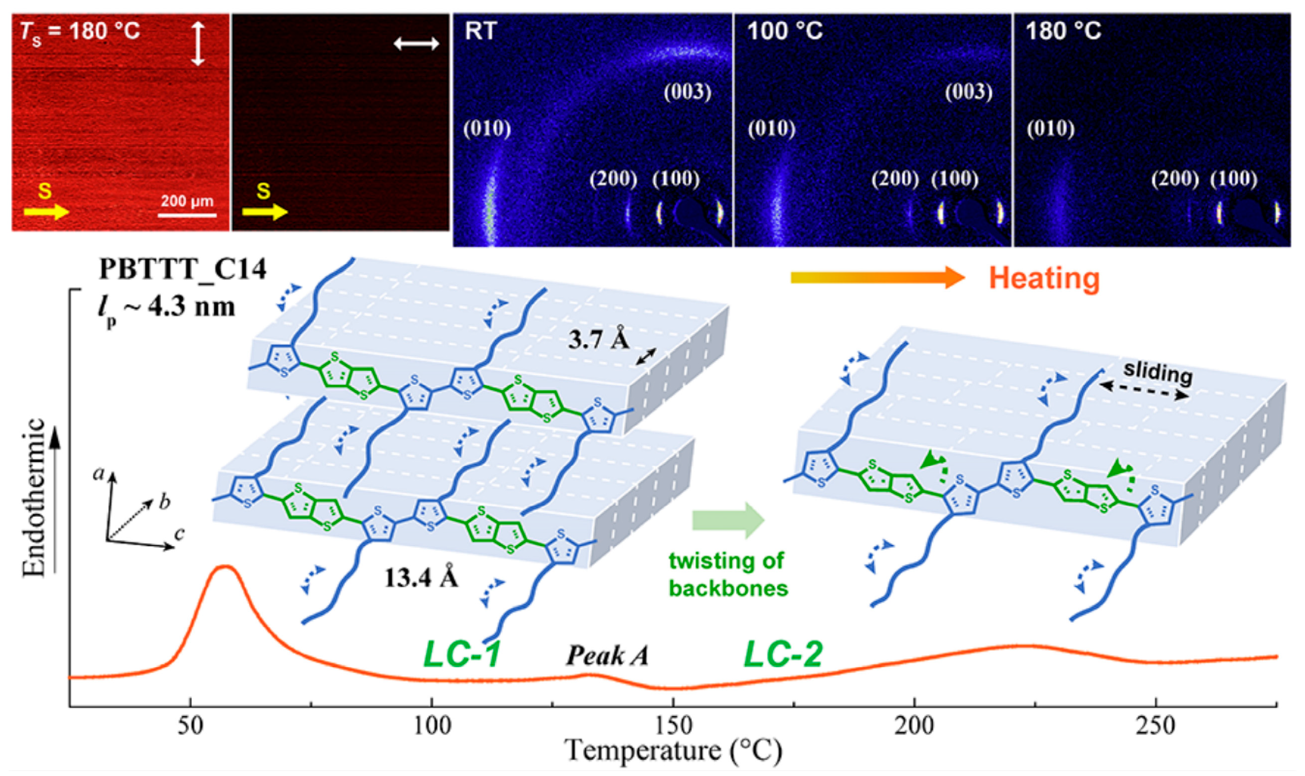Polymers 15 04268 g011