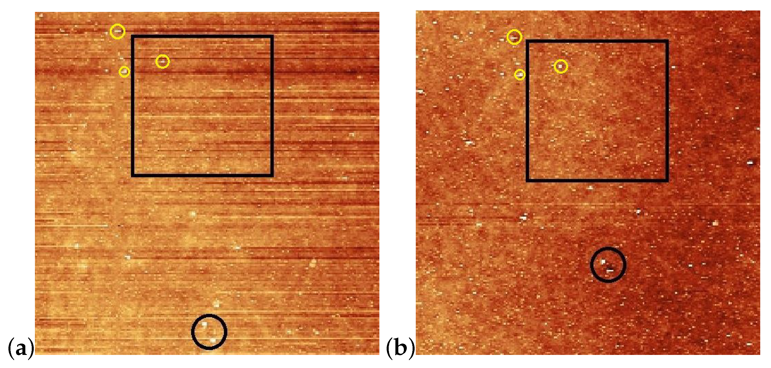 Polymers 15 04271 g005