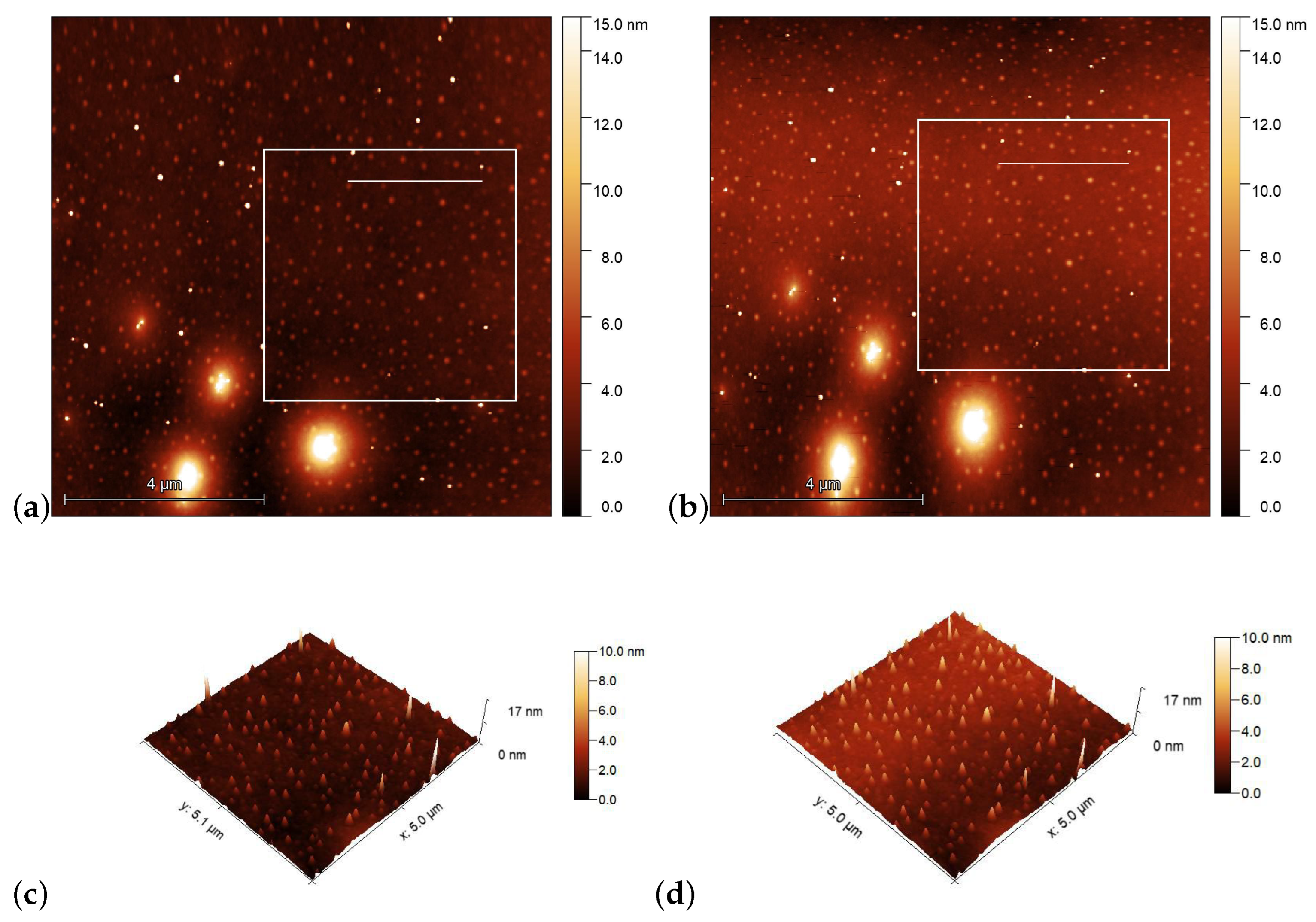 Polymers 15 04271 g006