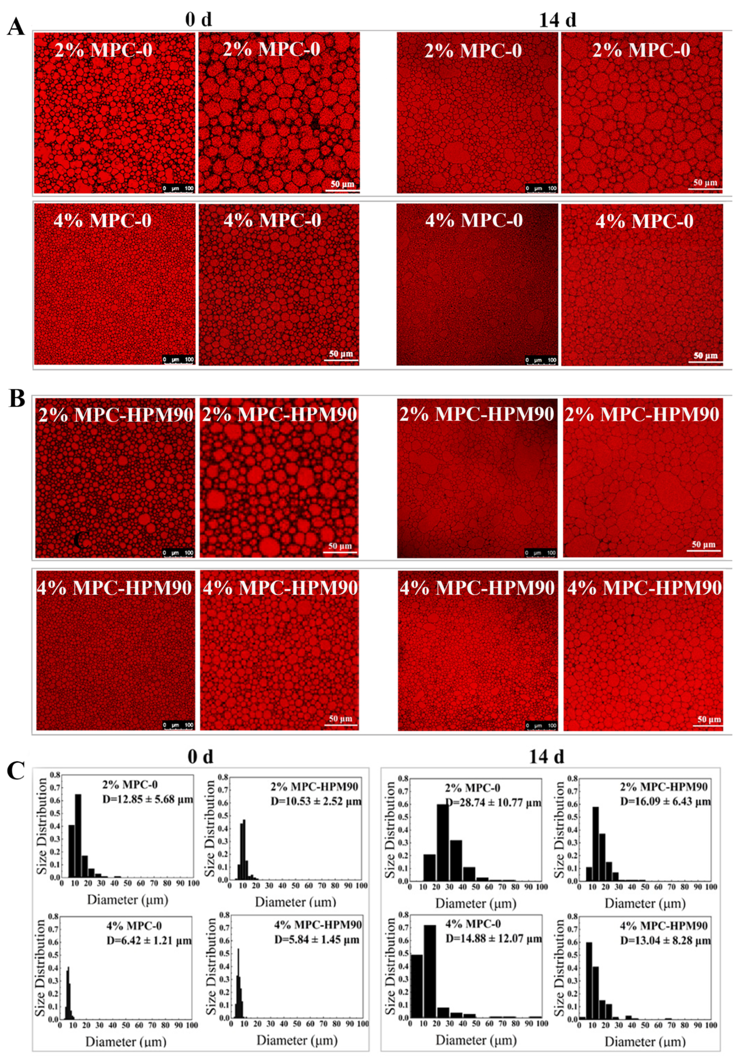Polymers 15 04272 g002