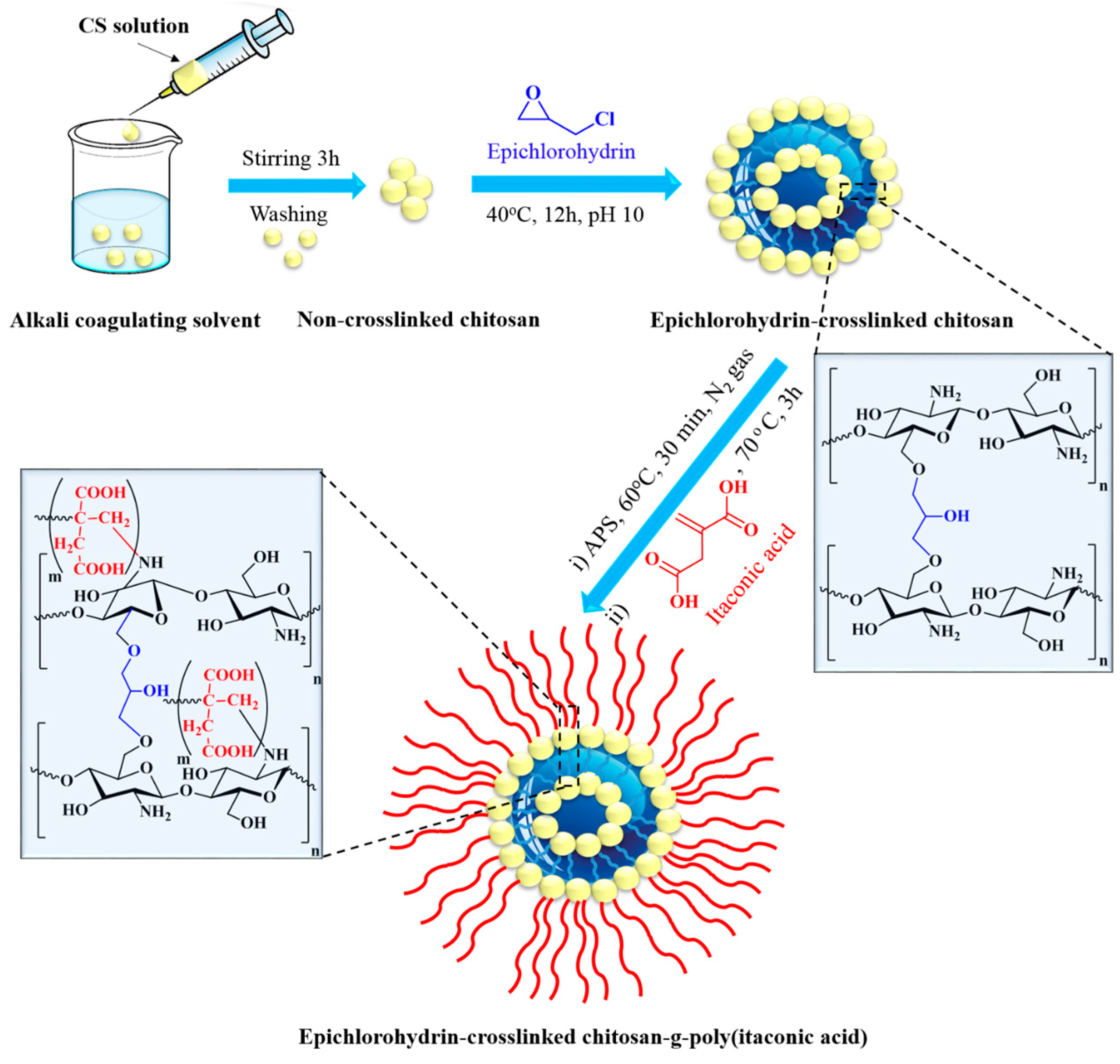 Polymers 15 04274 g001