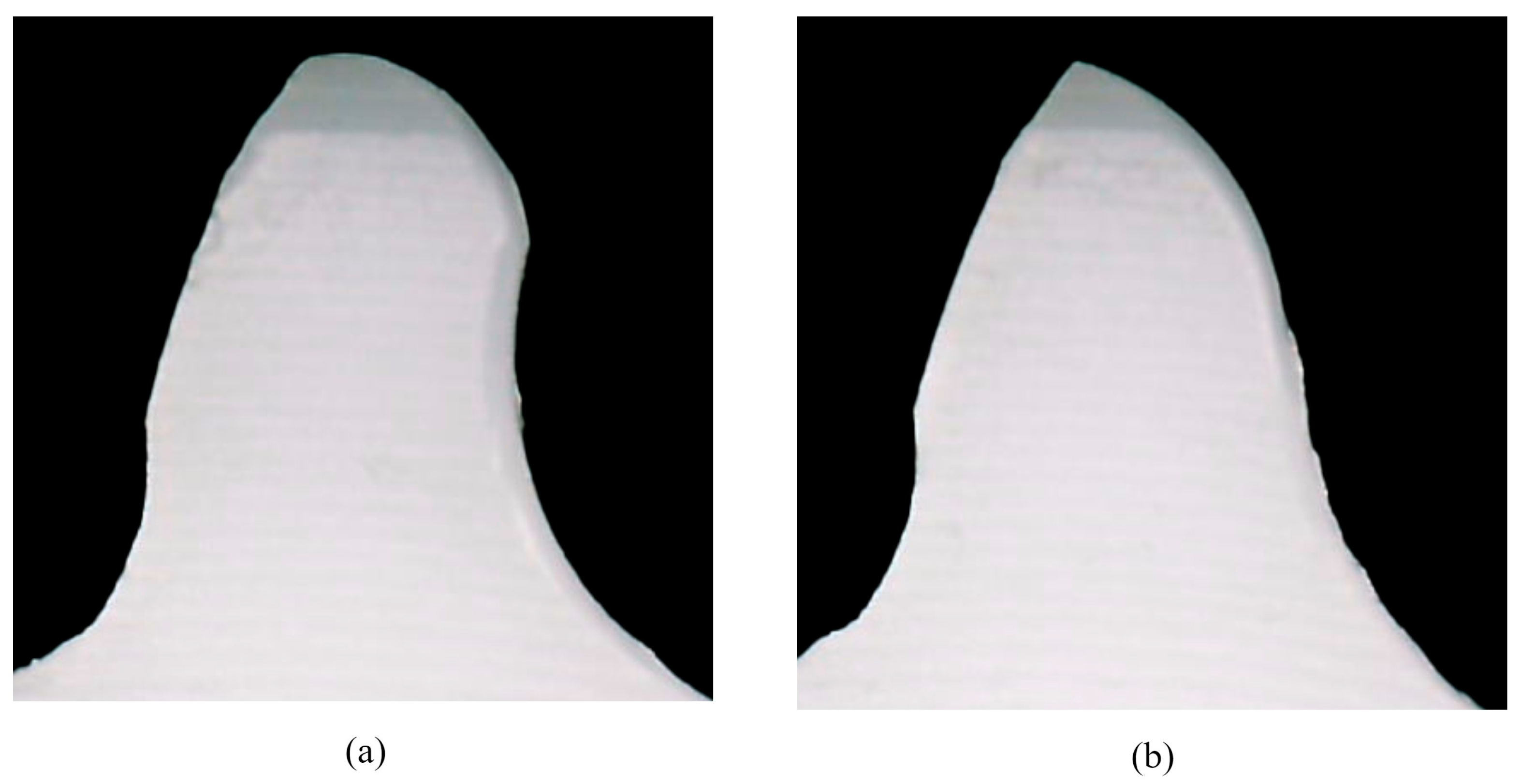 Polymers 15 04275 g004