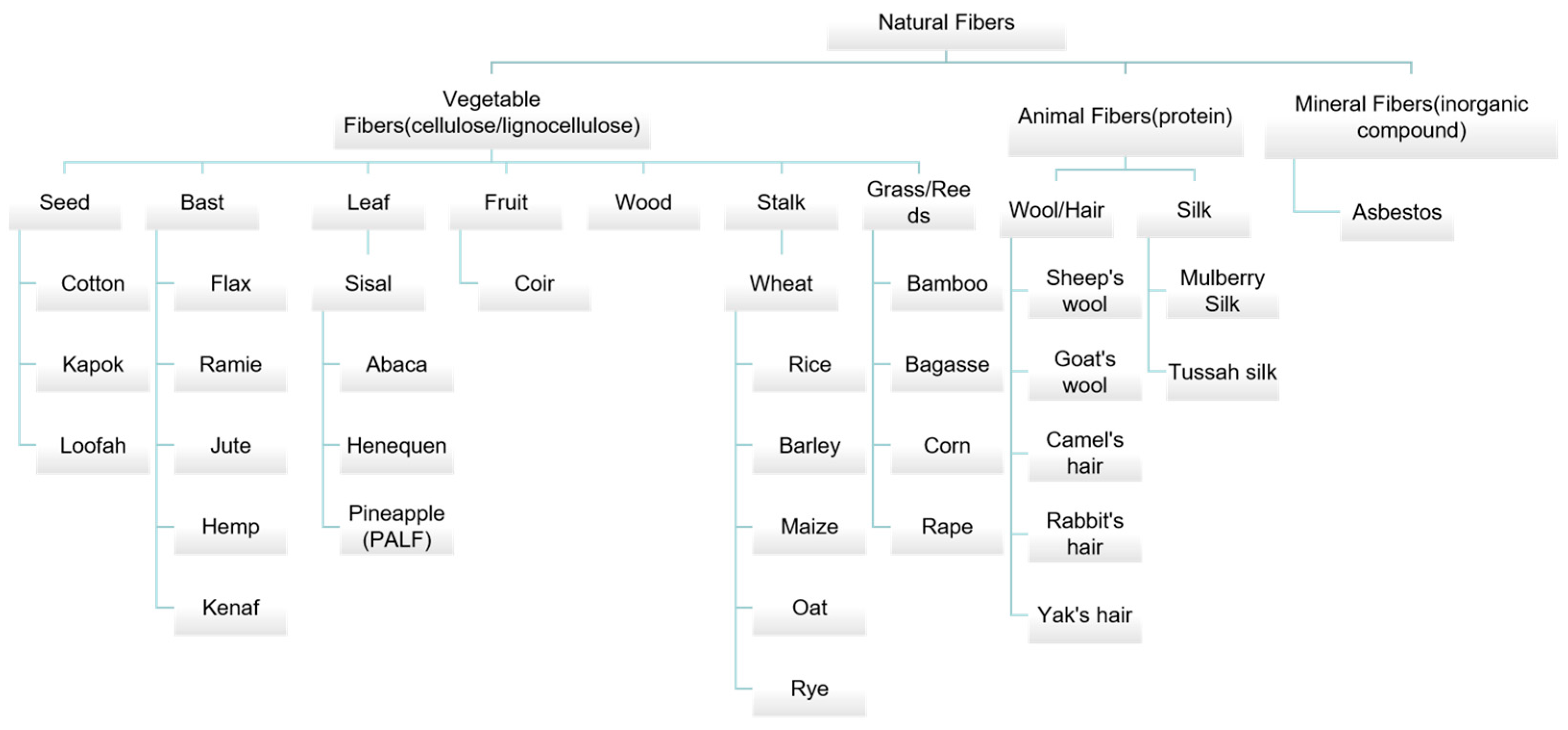 Polymers 15 04276 g001