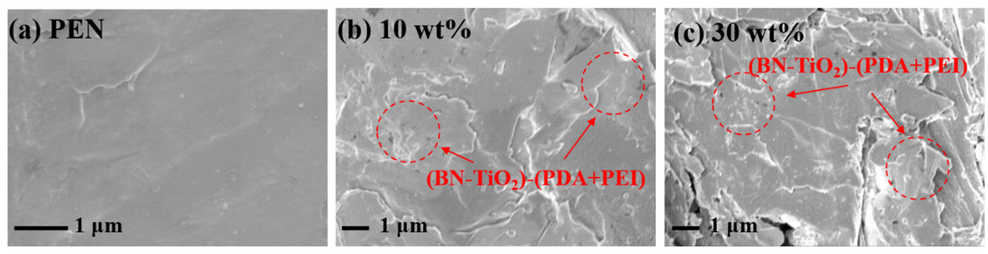 Polymers 15 04279 g006