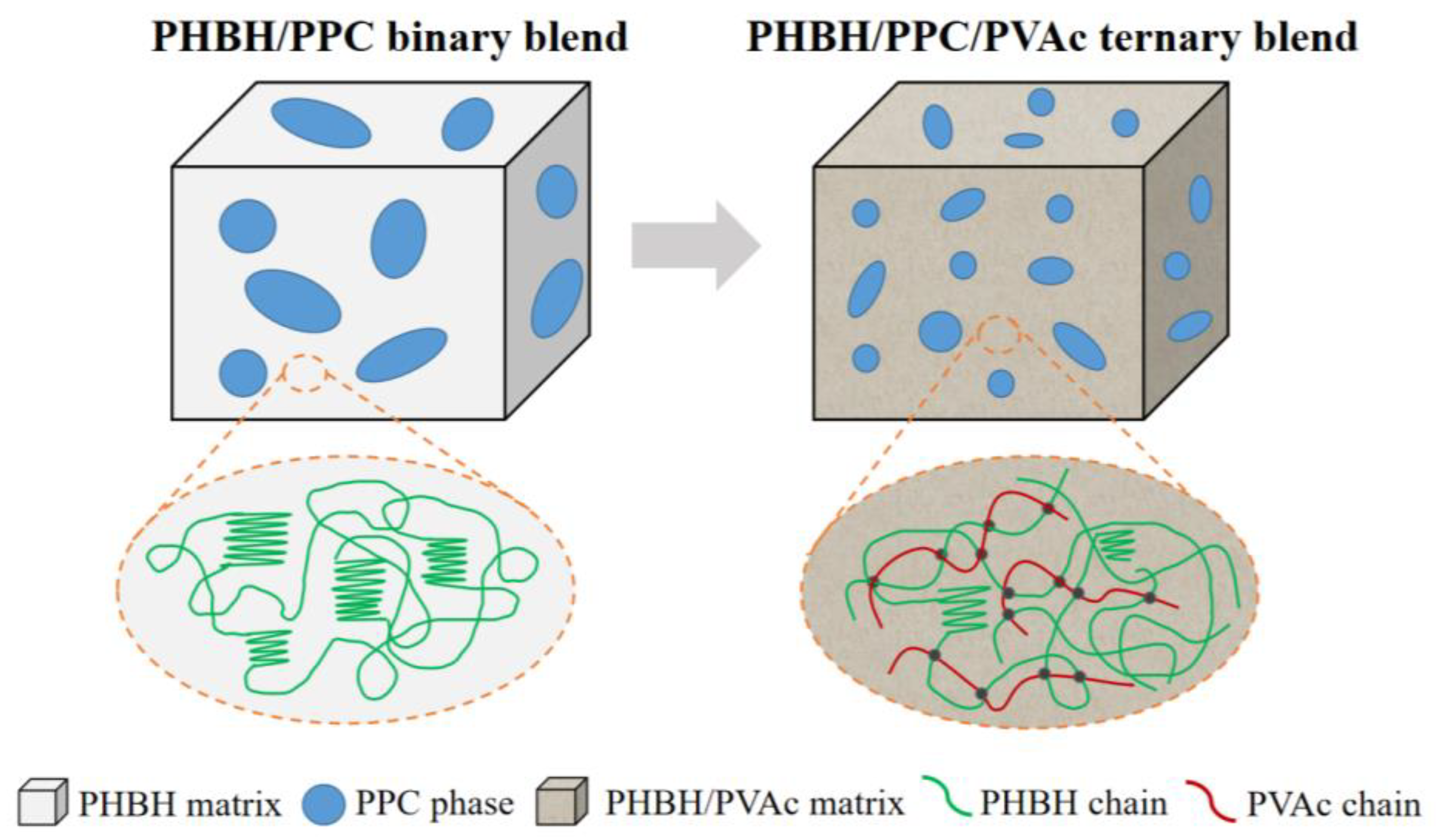 Polymers 15 04281 g011
