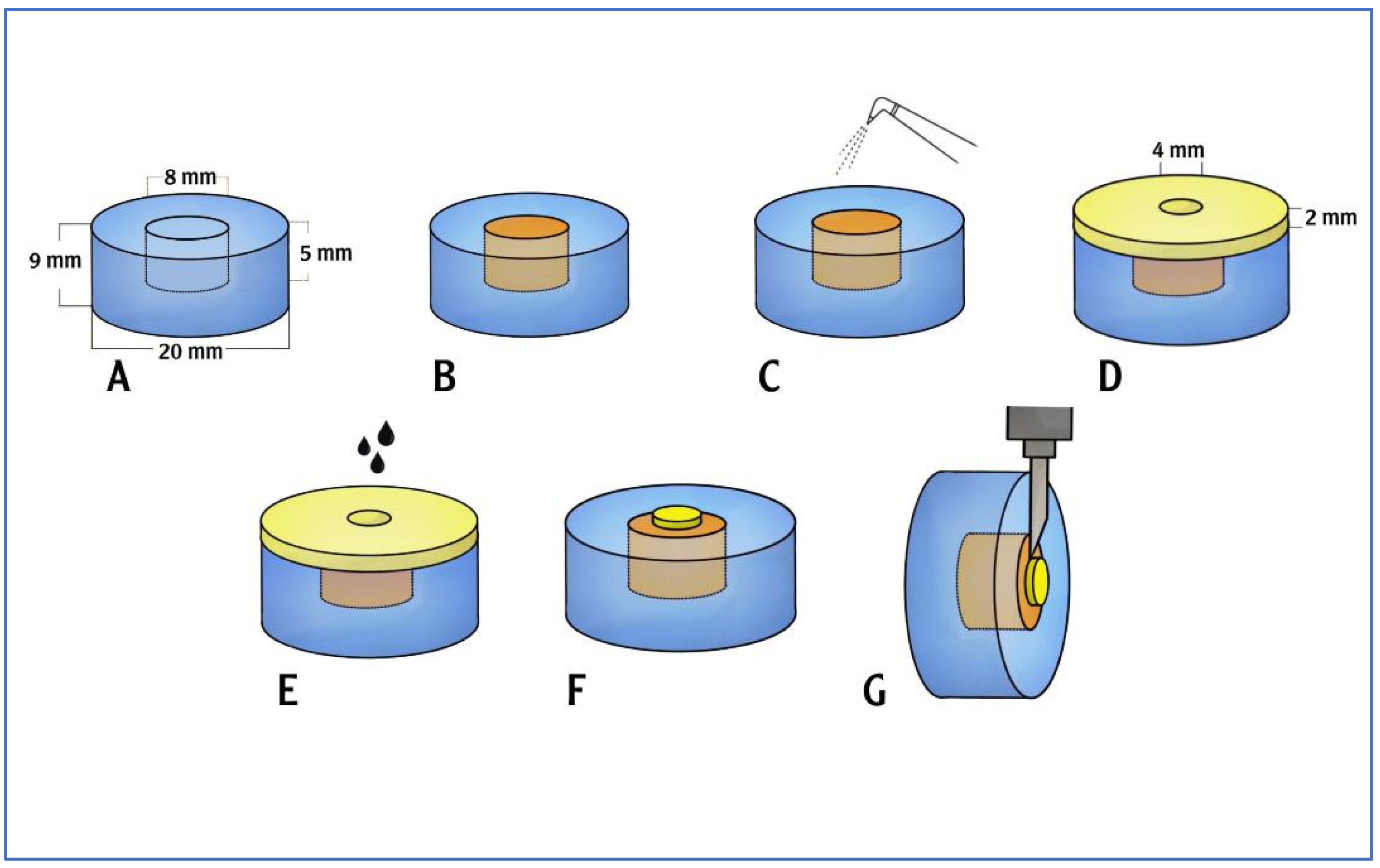 Polymers 15 04284 g001