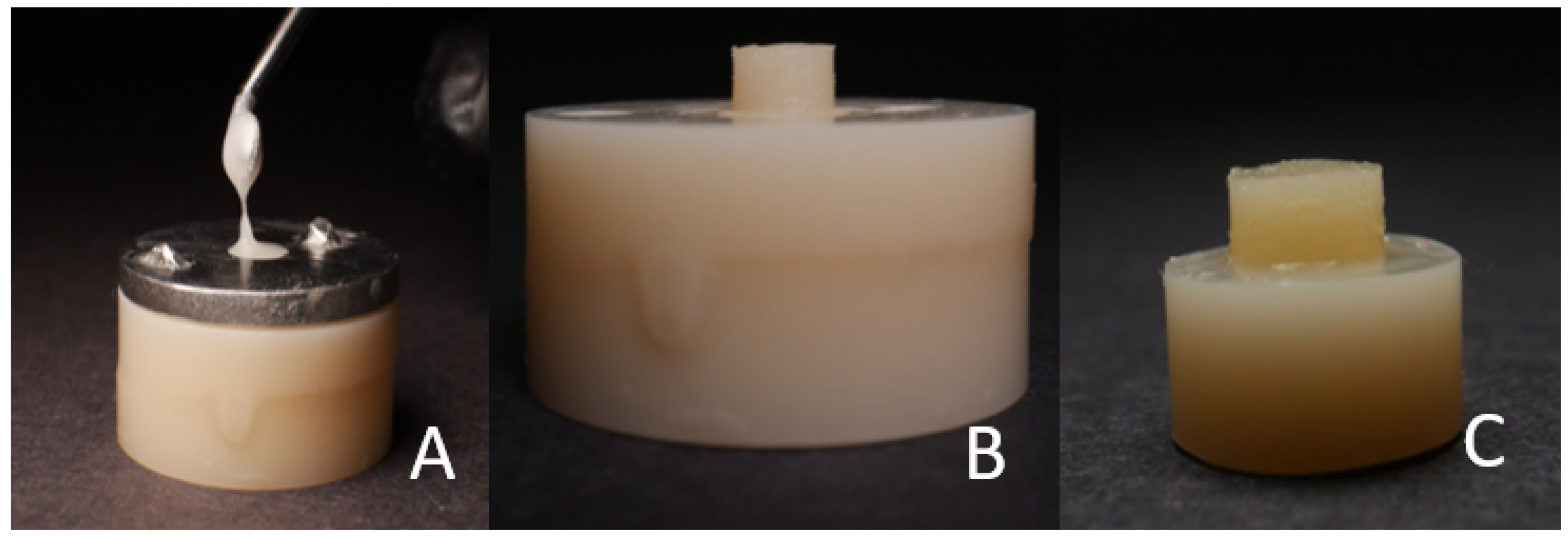 Polymers 15 04284 g004