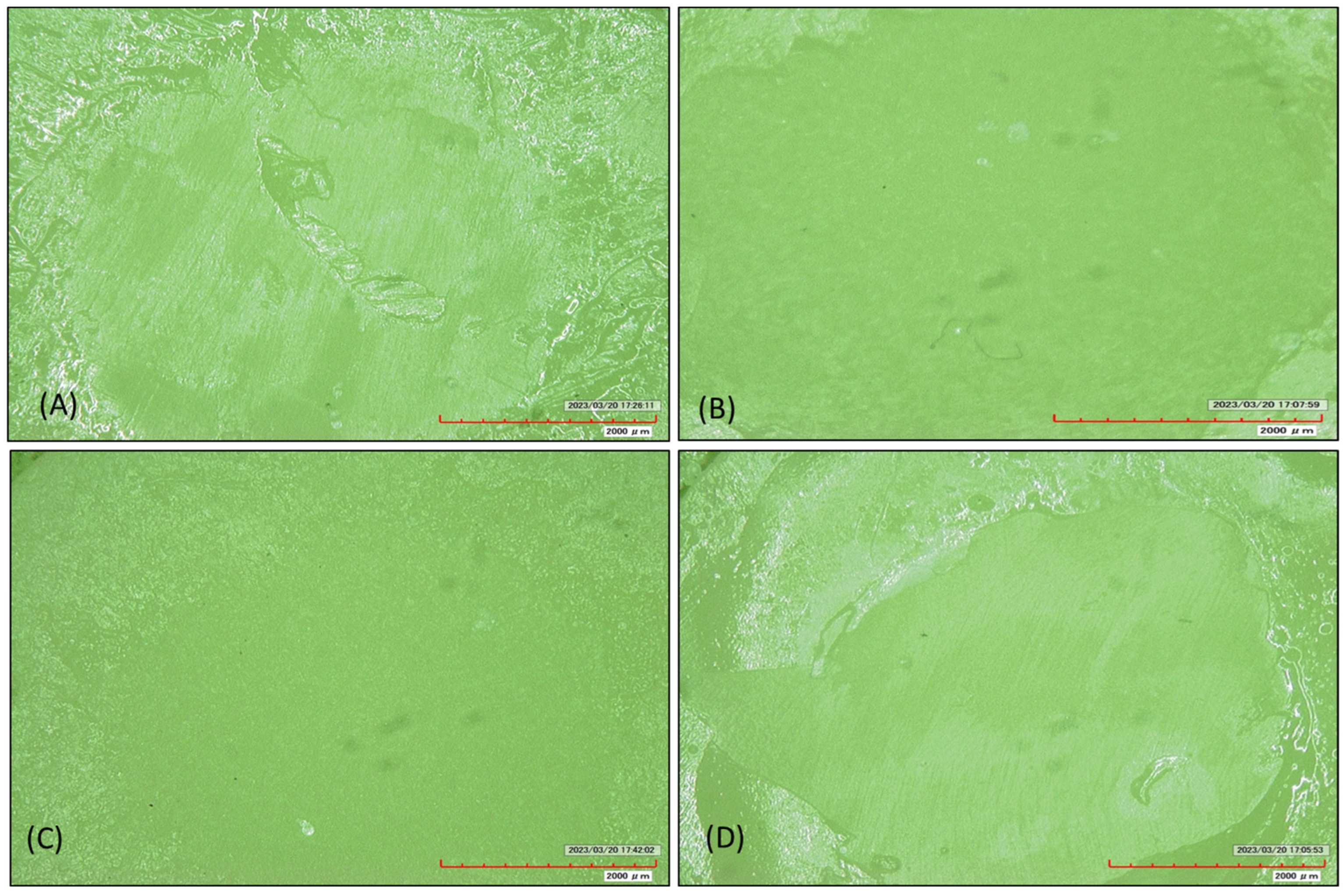 Polymers 15 04284 g009