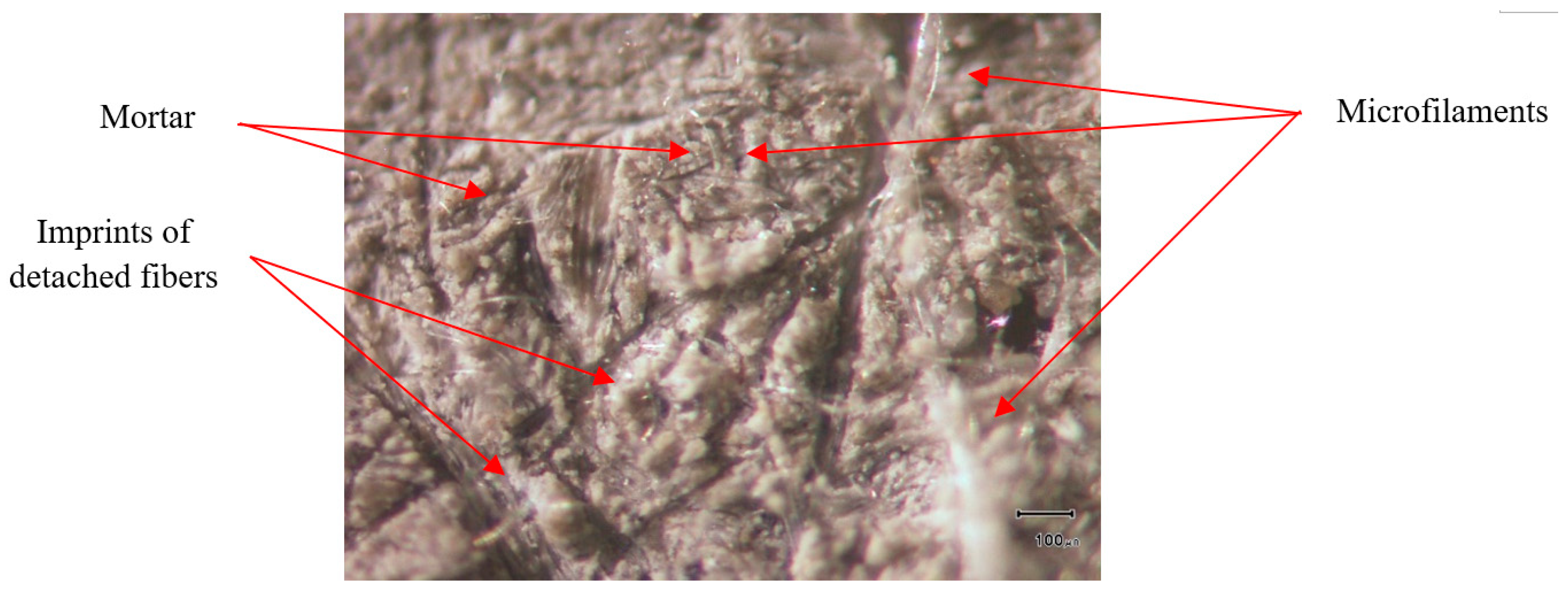 Polymers 15 04286 g009