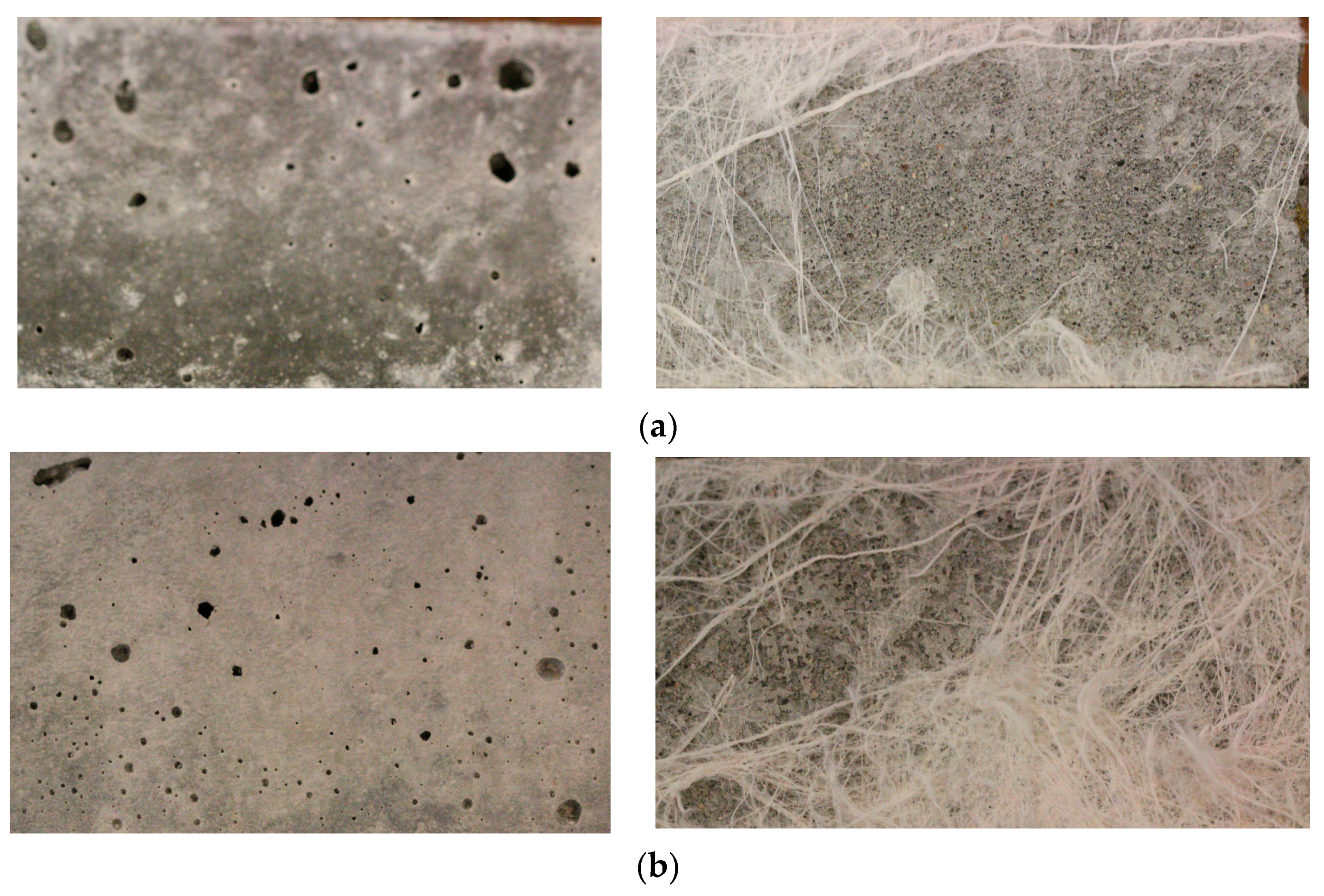 Polymers 15 04286 g012a
