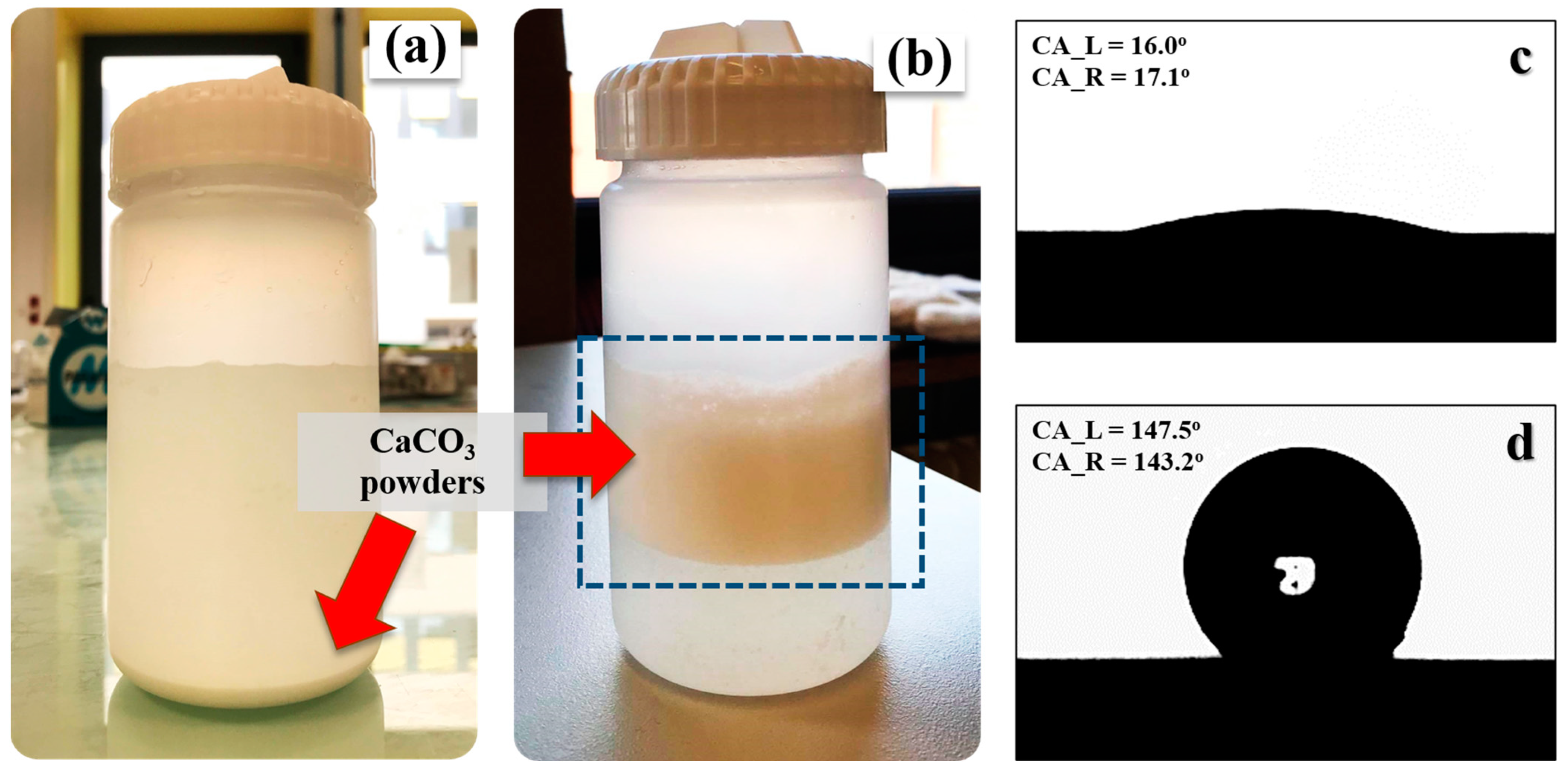 Polymers 15 04287 g001 Polymers 15 04287 g001